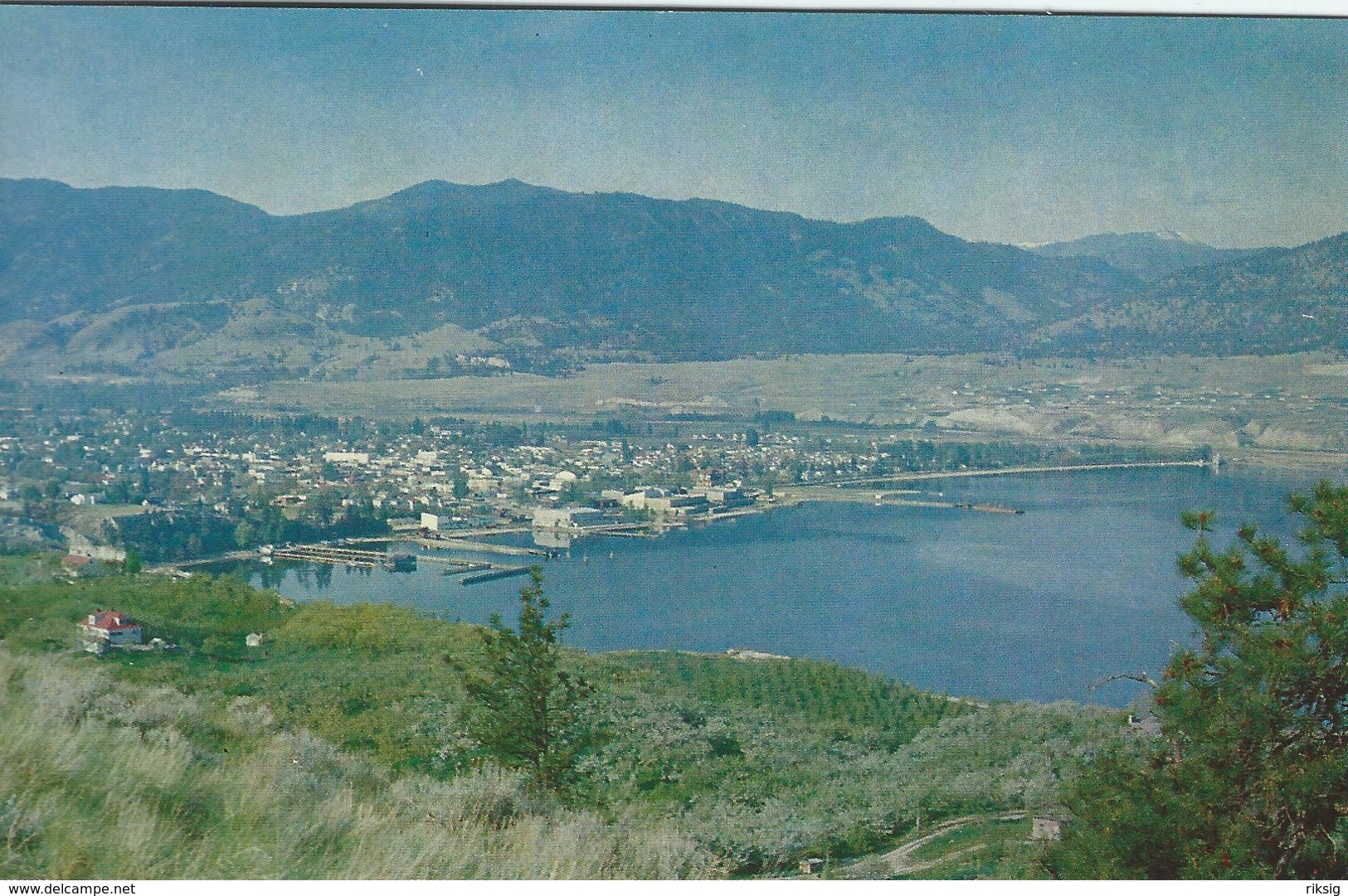 Penticton - Apple Orchards.  B.C. Canada.  S-4602 - Penticton