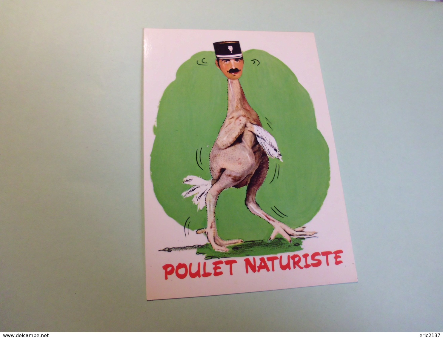 BELLE ILLUSTRATION HUMORISTIQUE ...POULET NATURISTE ..... - Humour