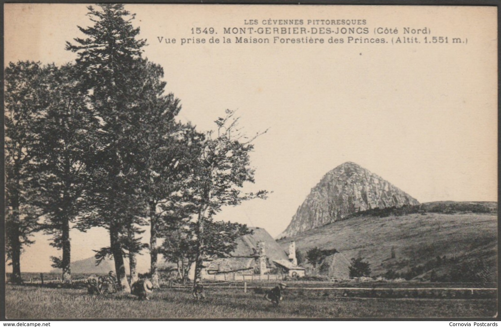 Vue Prise De La Maison Forestière Des Princes, Mont-Gerbier-des-Joncs, C.1910 - Artige CPA - Autres & Non Classés