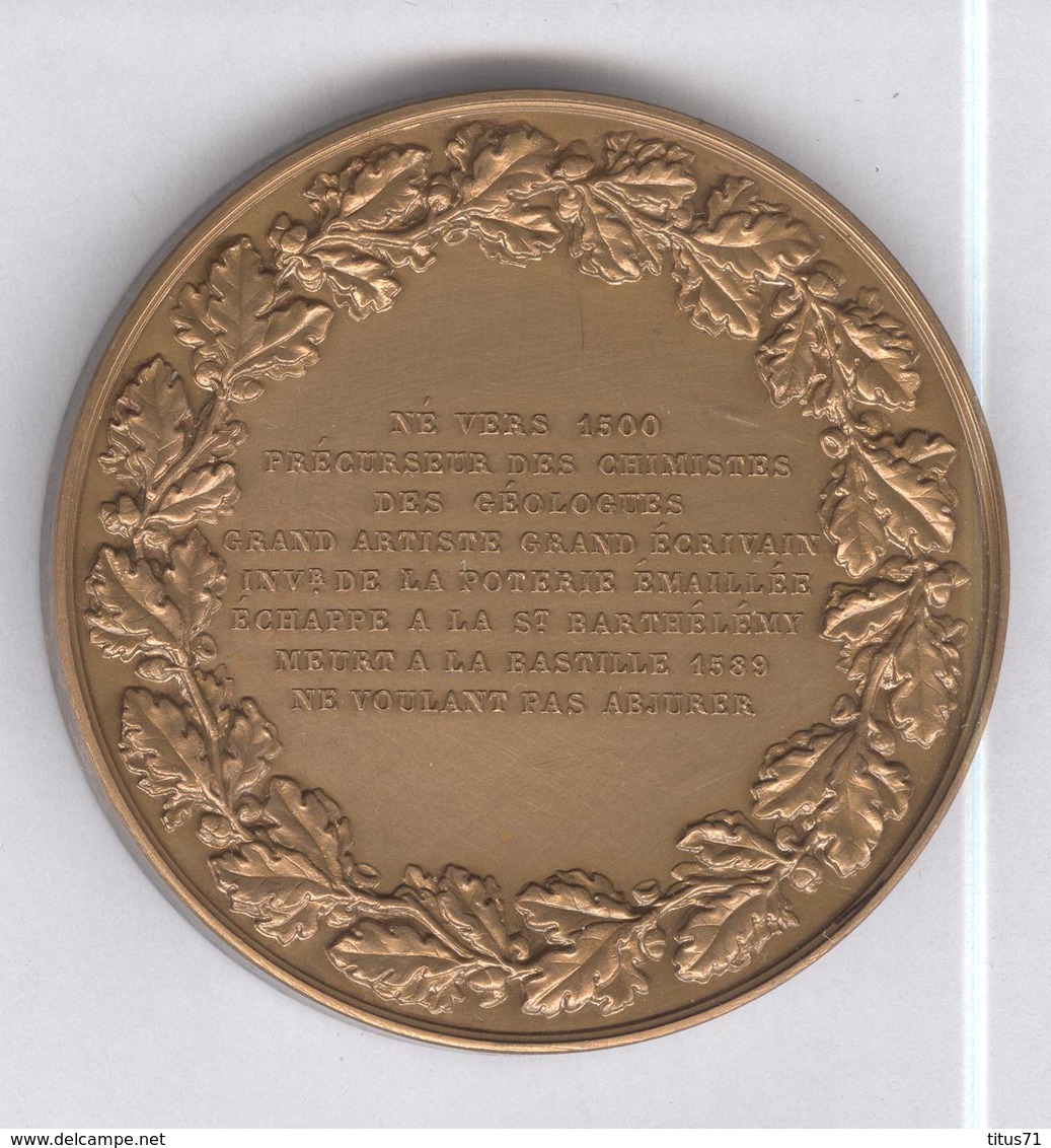 Médaille Bernard Palissy - Né Vers 1500 , Précurseur Des Chimistes , Des Géologues... - Autres & Non Classés