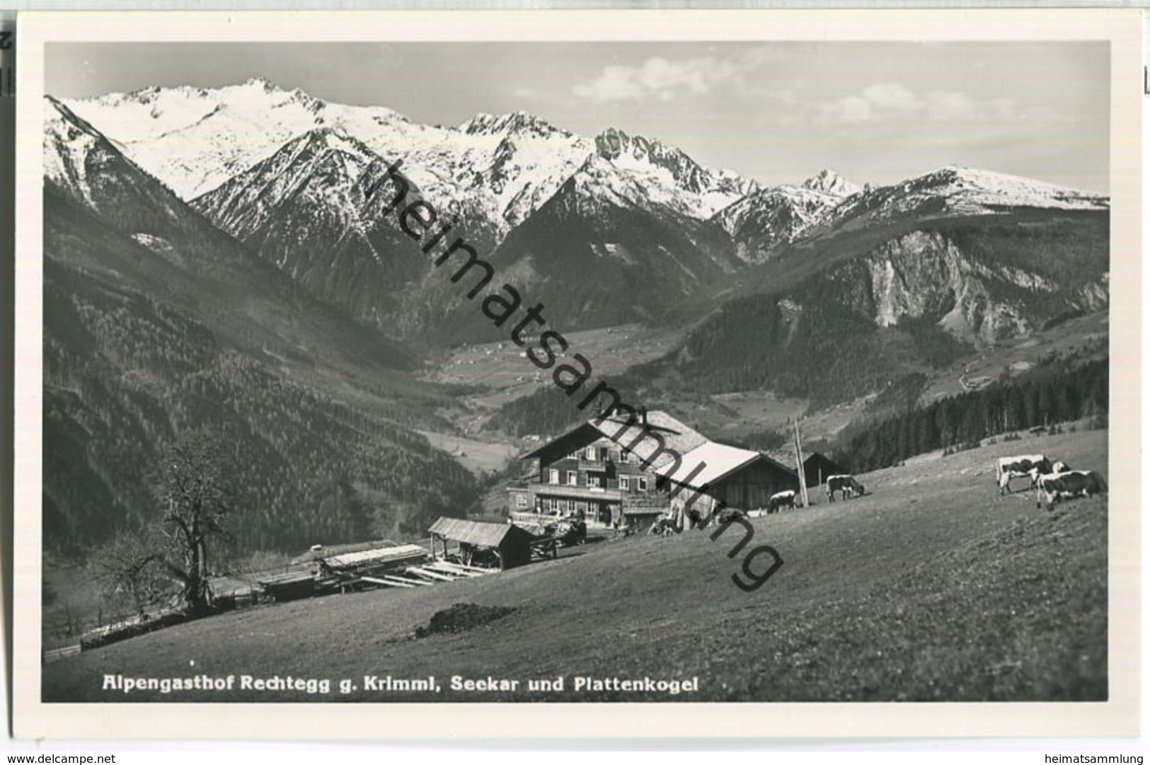 Alpengasthaus Rechtegg - Krimml - Seekar- Plattenkogel - Foto-AK - Verlag C. Jurischek Salzburg - Neukirchen Am Grossvenediger