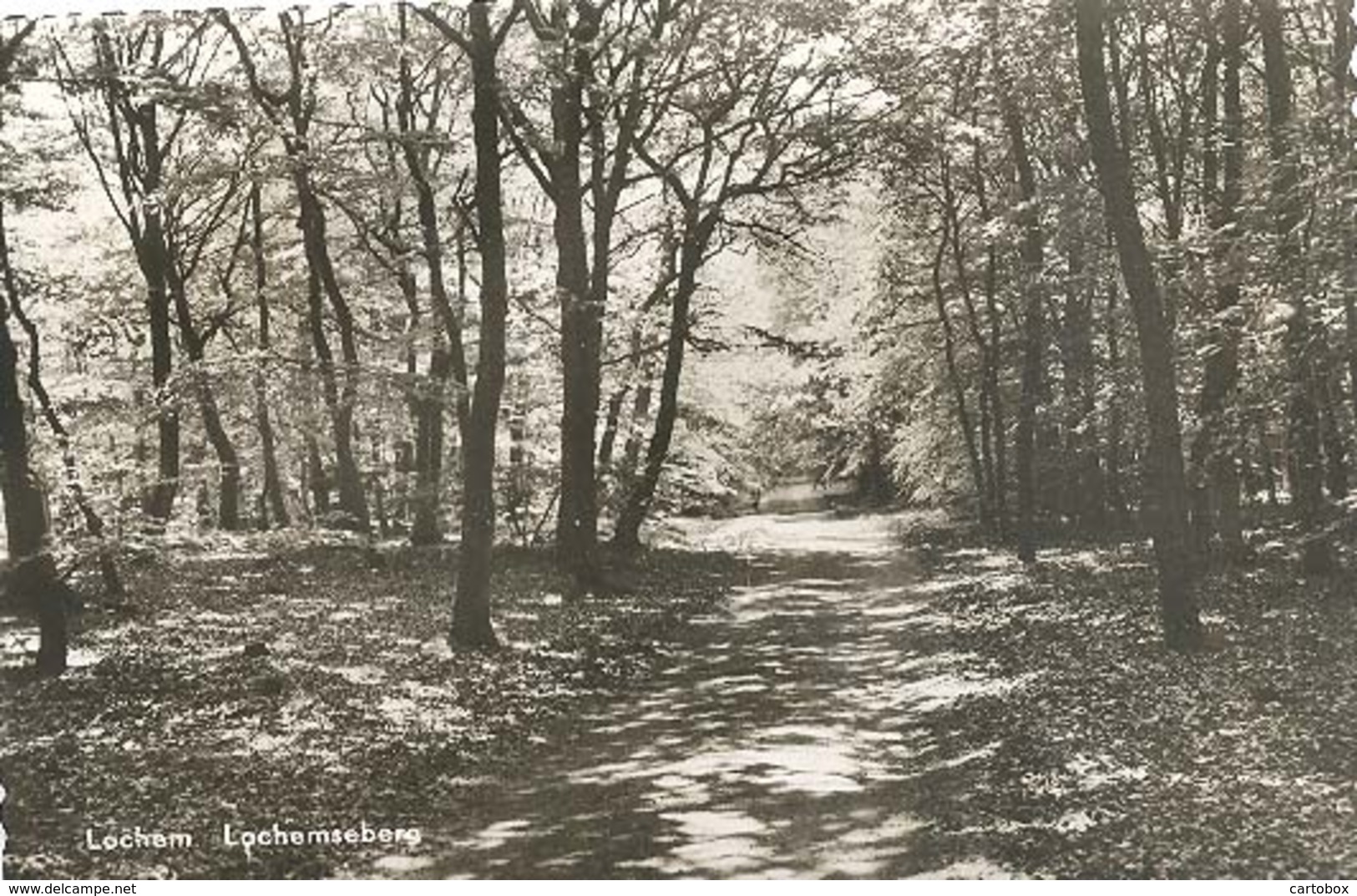 Lochem, Lochemseberg   (glansfotokaart) - Lochem