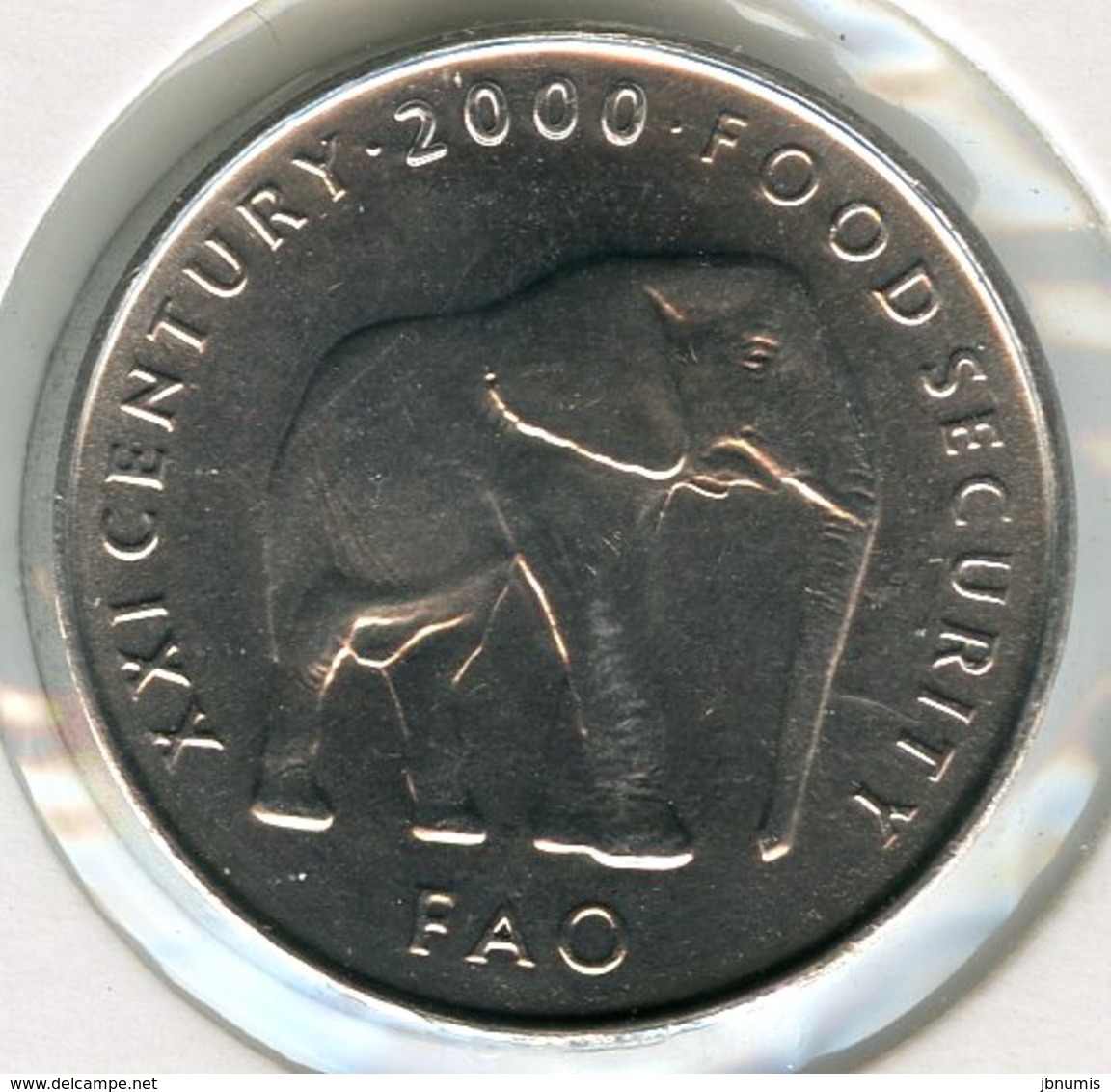 Somalie Somalia 5 Shilling Scellini 2000 FAO Elephant UNC KM 45 - Somalie