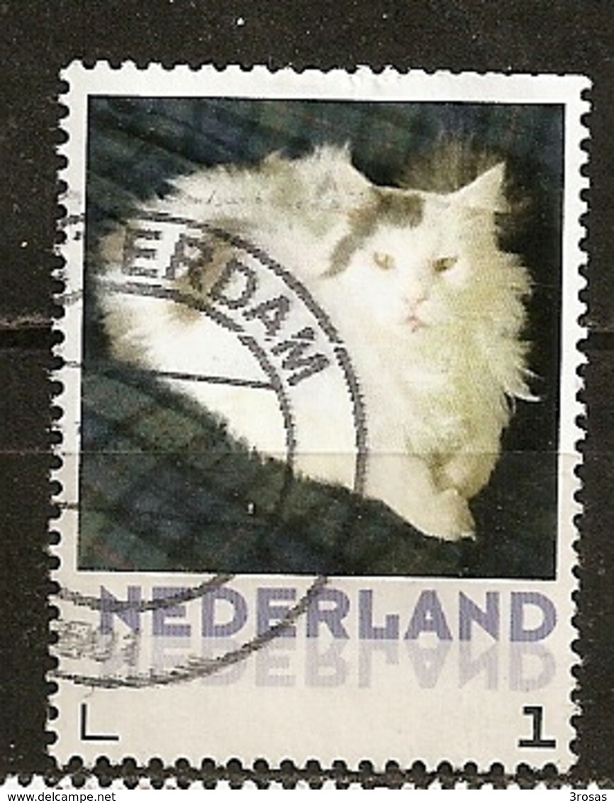 Pays-Bas Netherlands Chat Cat Obl - Usados