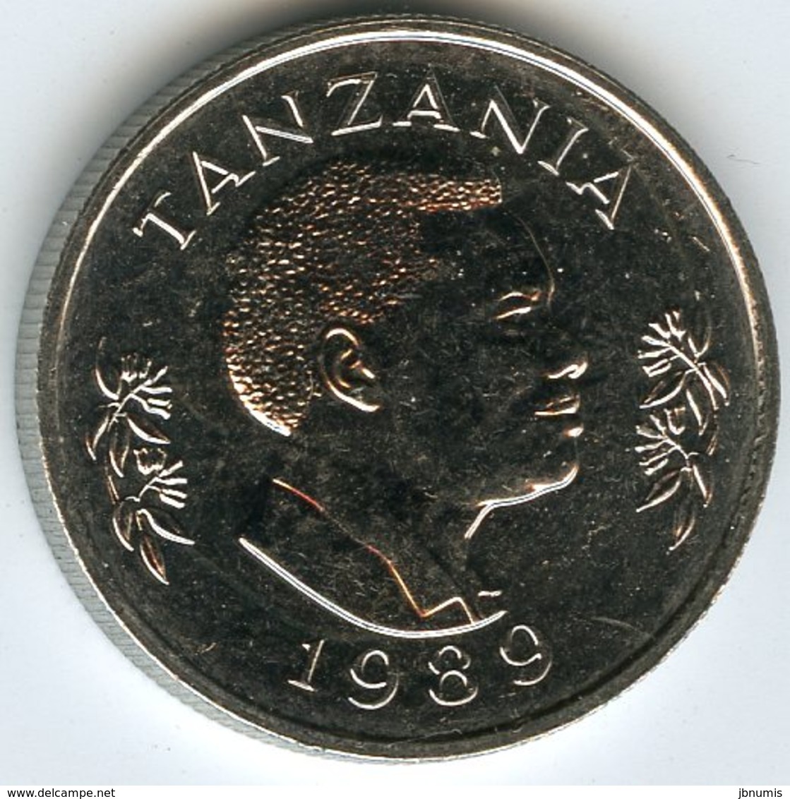 Tanzanie Tanzania 50 Senti 1989 UNC KM 26 - Tanzanie