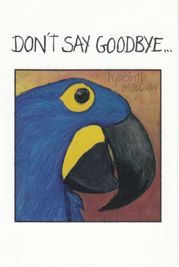 Hyacinth Macaw - Endangered, Help Save The Animals , Canada , 80-90s - Oiseaux