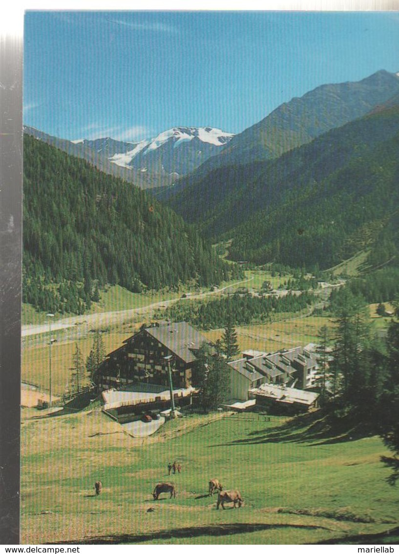 S,CATERINA VALFURVA..PANORAMA.VIAGGIATA..1988.F.G.-NM606 - Sondrio