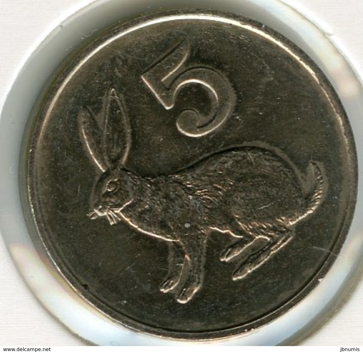 Zimbabwe 5 Cents 1980 Lapin UNC KM 2 - Zimbabwe