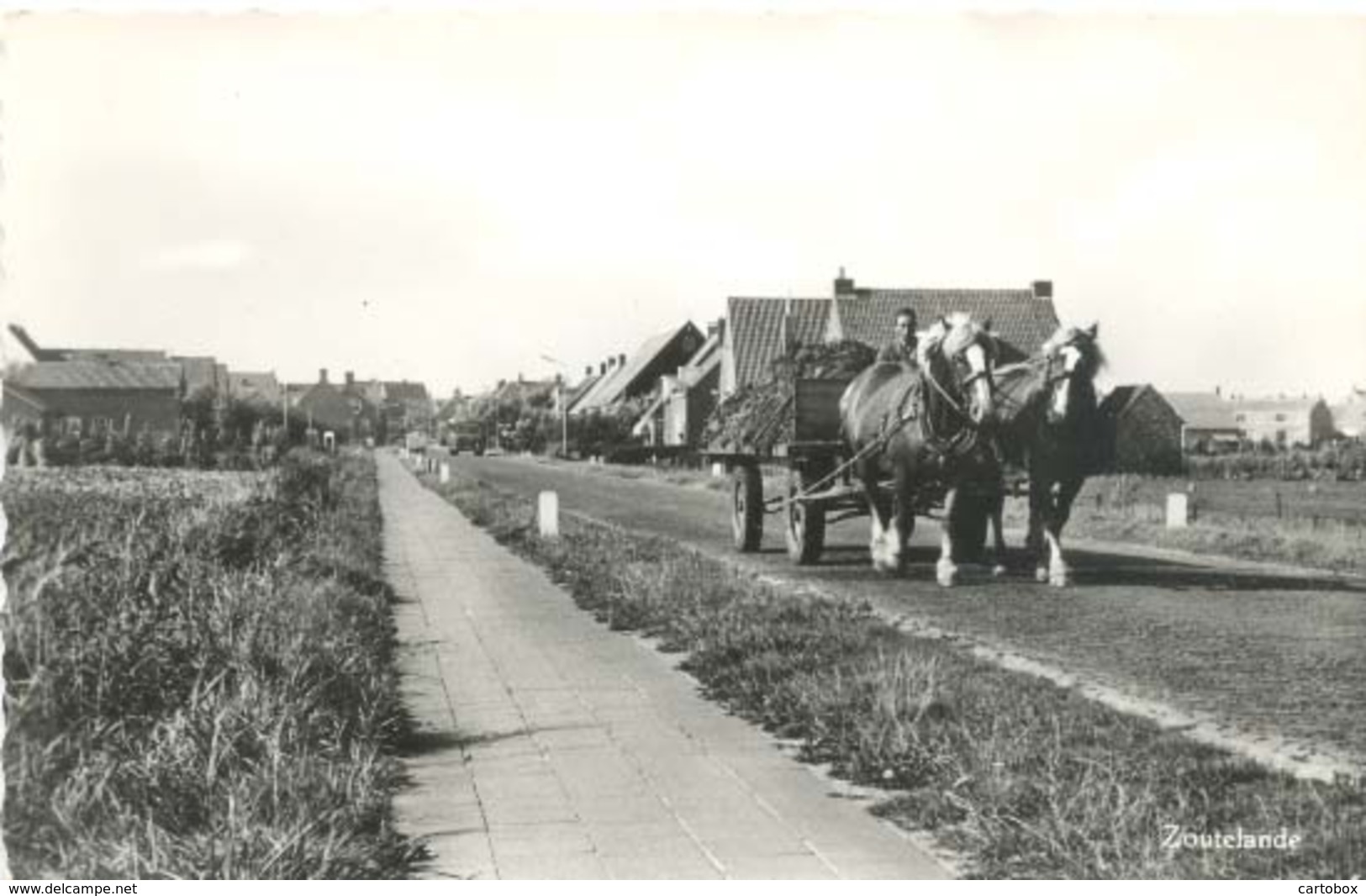 Zoutelande  (paard En Wagen)   (glansfotokaart) - Zoutelande