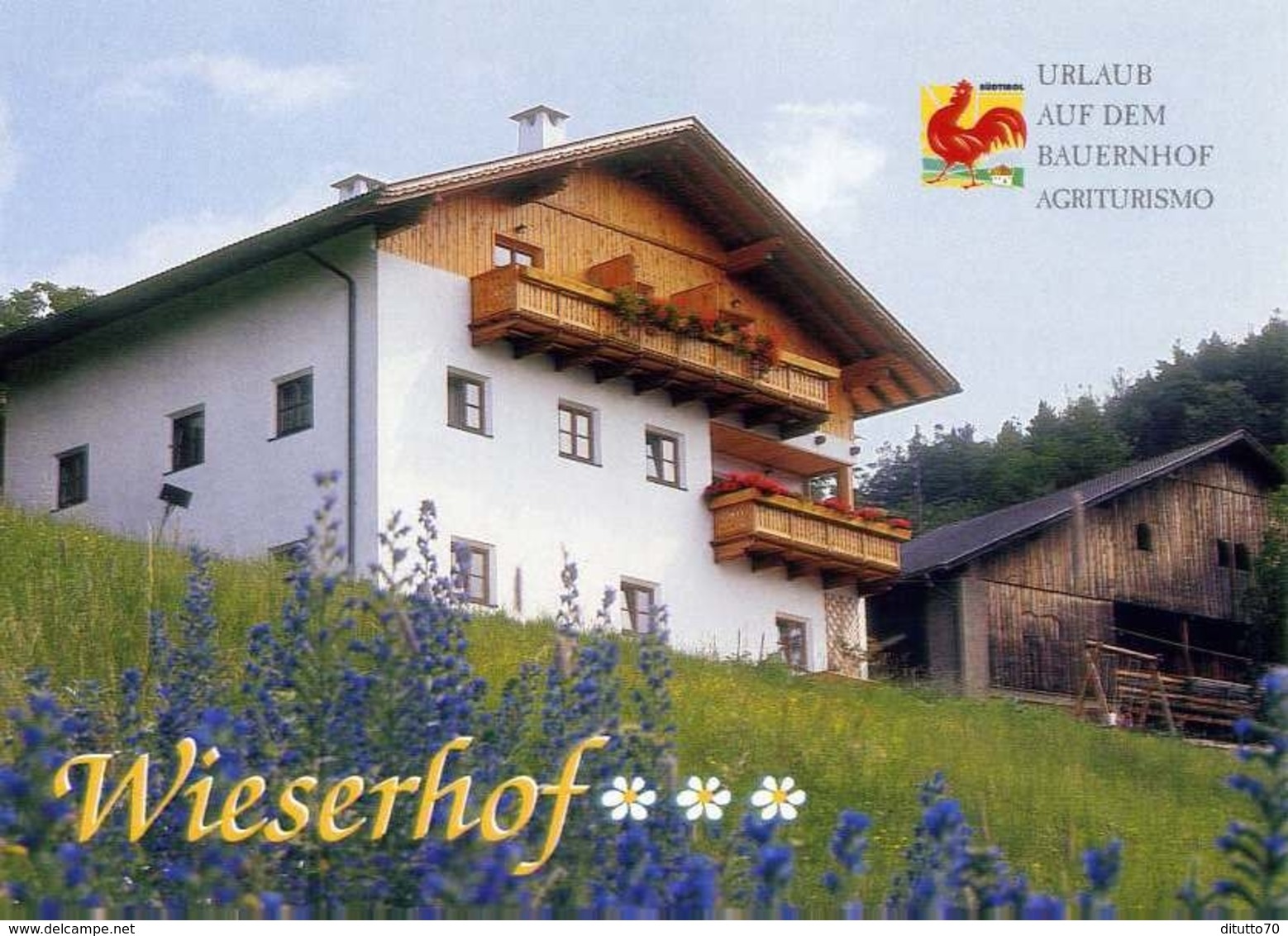 Vols Am Schlern - Bolzano - Wieserhof - Formato Grande Viaggiata – E 10 - Bolzano