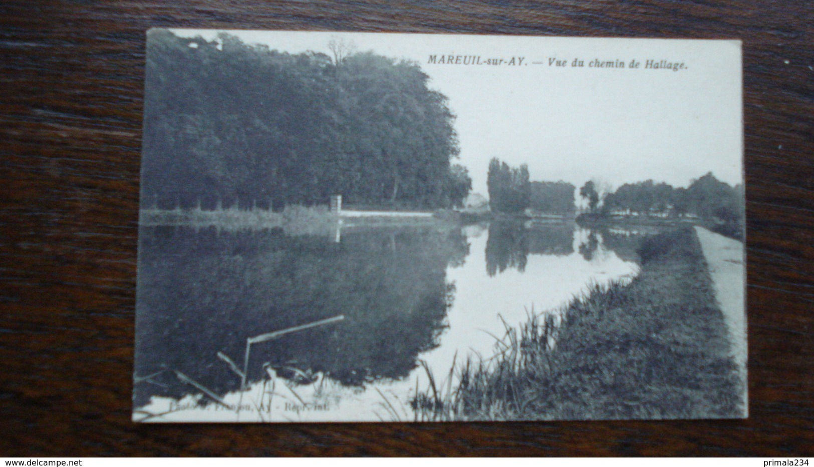 MAREUIL SUR AY- VU CHEMIN DE HALAGE - Mareuil-sur-Ay