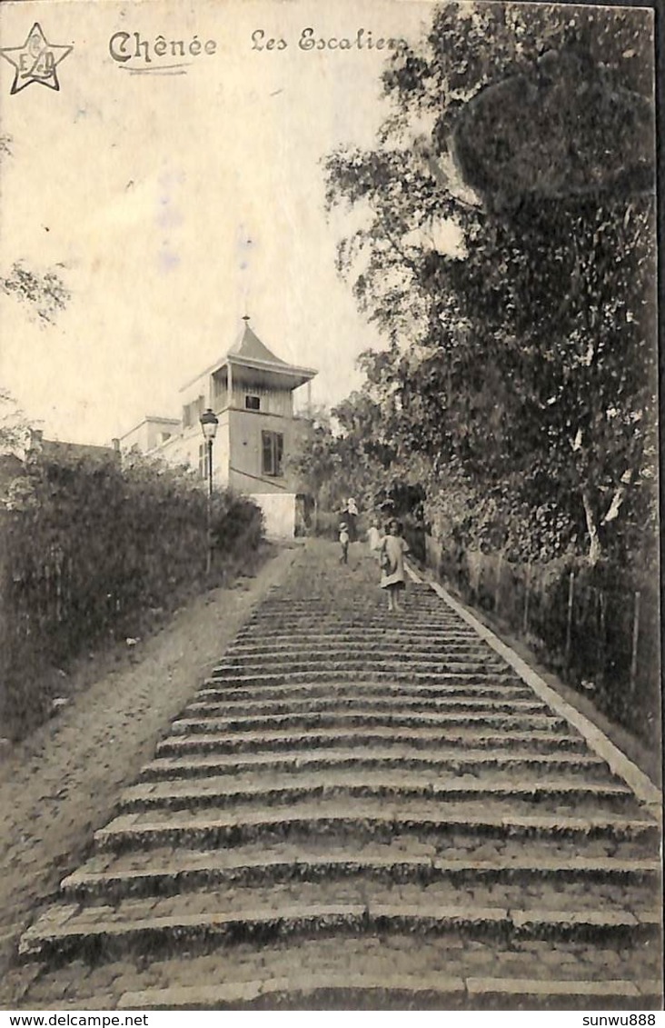 Chênée - Les Escaliers (Château Poulet, Animée) - Liege