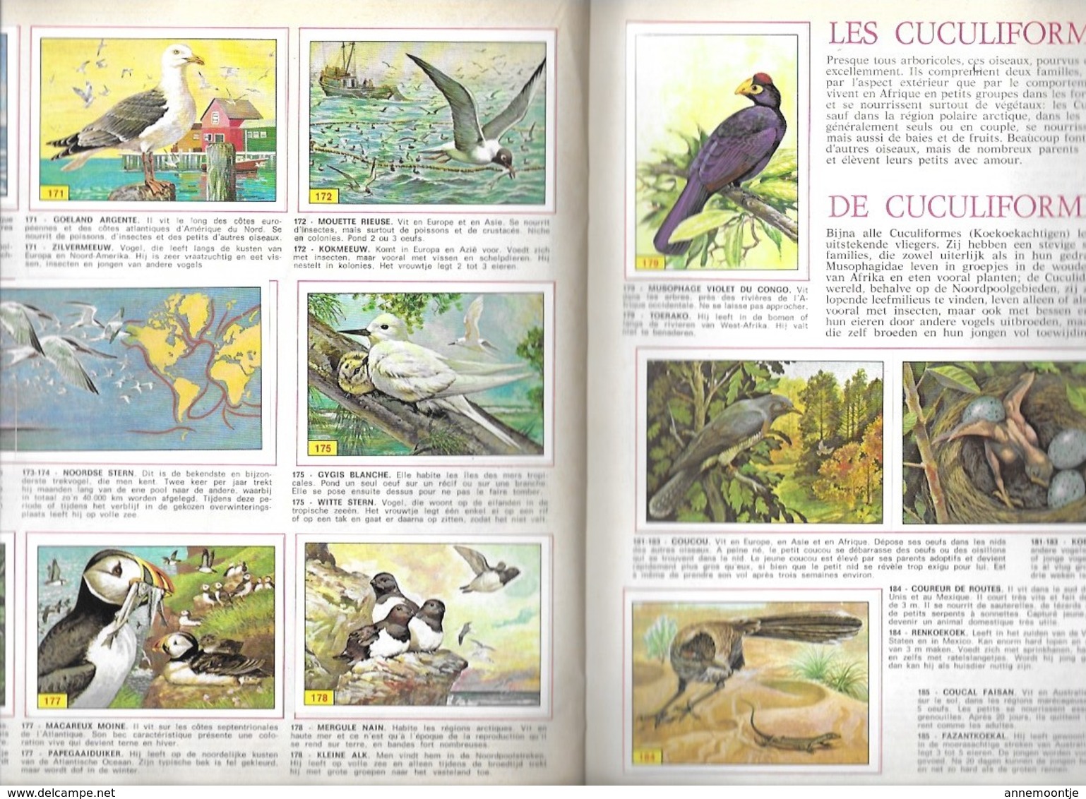 Album Images Figurine Panini Complet - Vogels - Oiseaux. - Albums & Catalogues