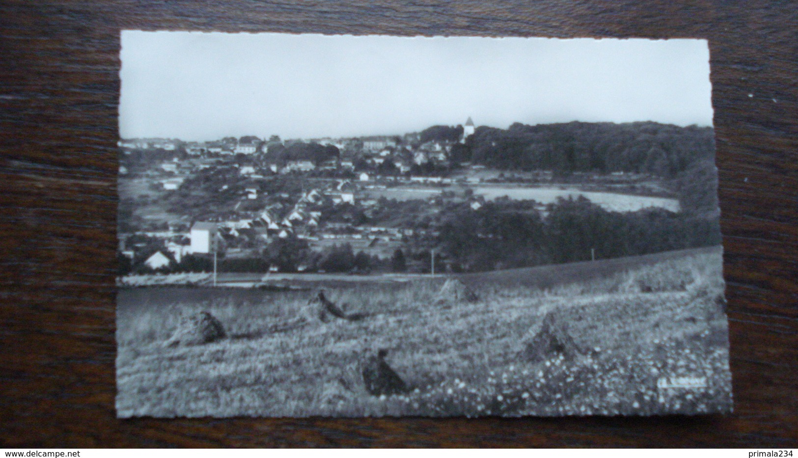 MONTMIRAIL-VUE PANORAMIQUE - Montmirail