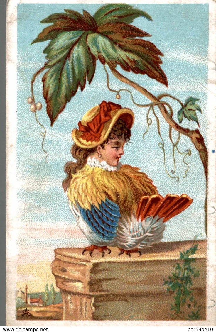 CHROMO COSTUMES & CONFECTIONS POUR DAMES MAISON MODELE PARIS  DROLE D'OISEAU - Autres & Non Classés