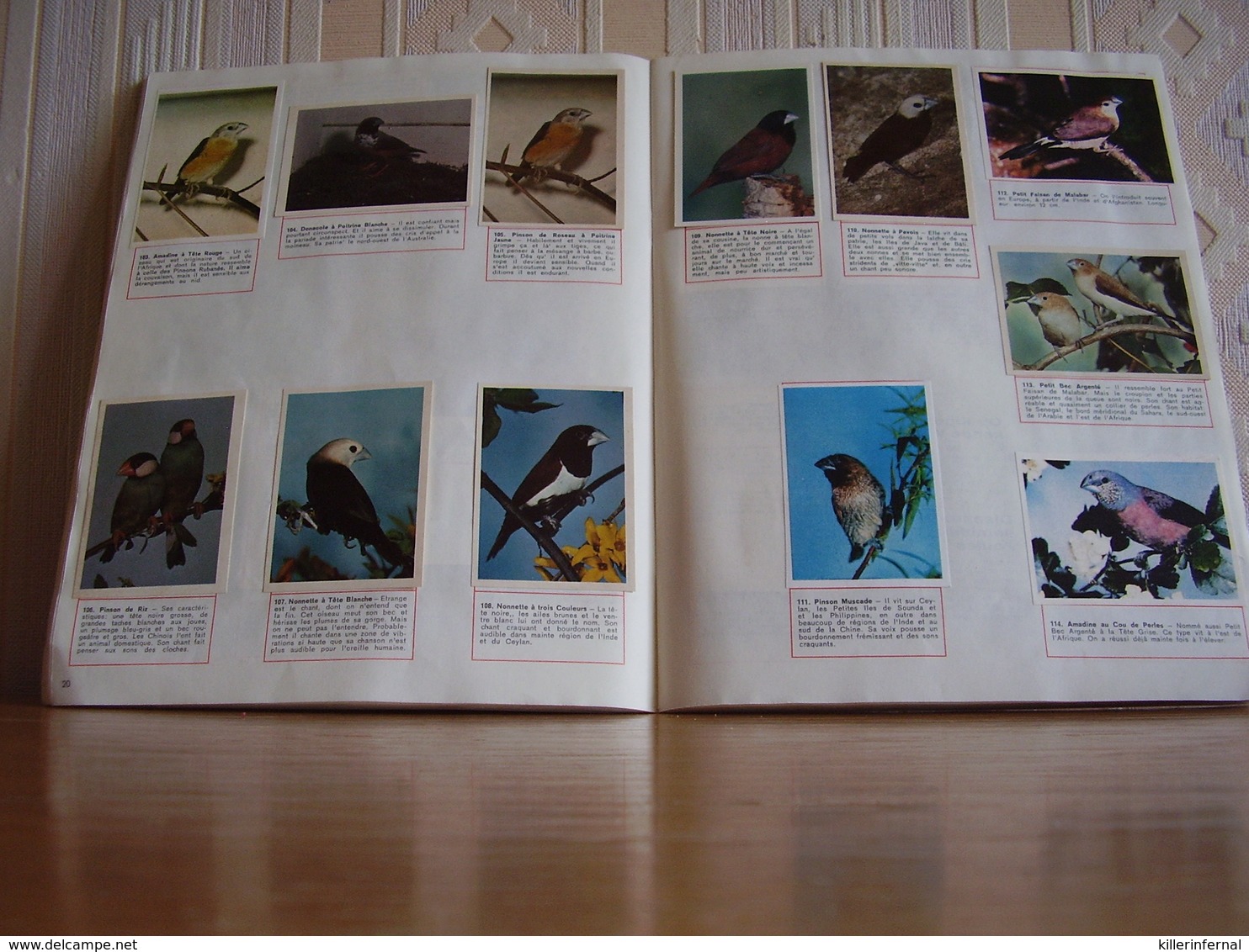 Album Chromos Images Vignettes Hugo Hein *** Oiseaux - Birds *** - Autres & Non Classés