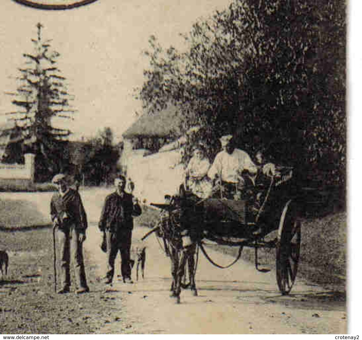 89 Villeroy Vers Sens La Mairie En 1908 Troupeau De Moutons VOIR ZOOM Attelage D'âne Ou De Mulet Chien - Sens