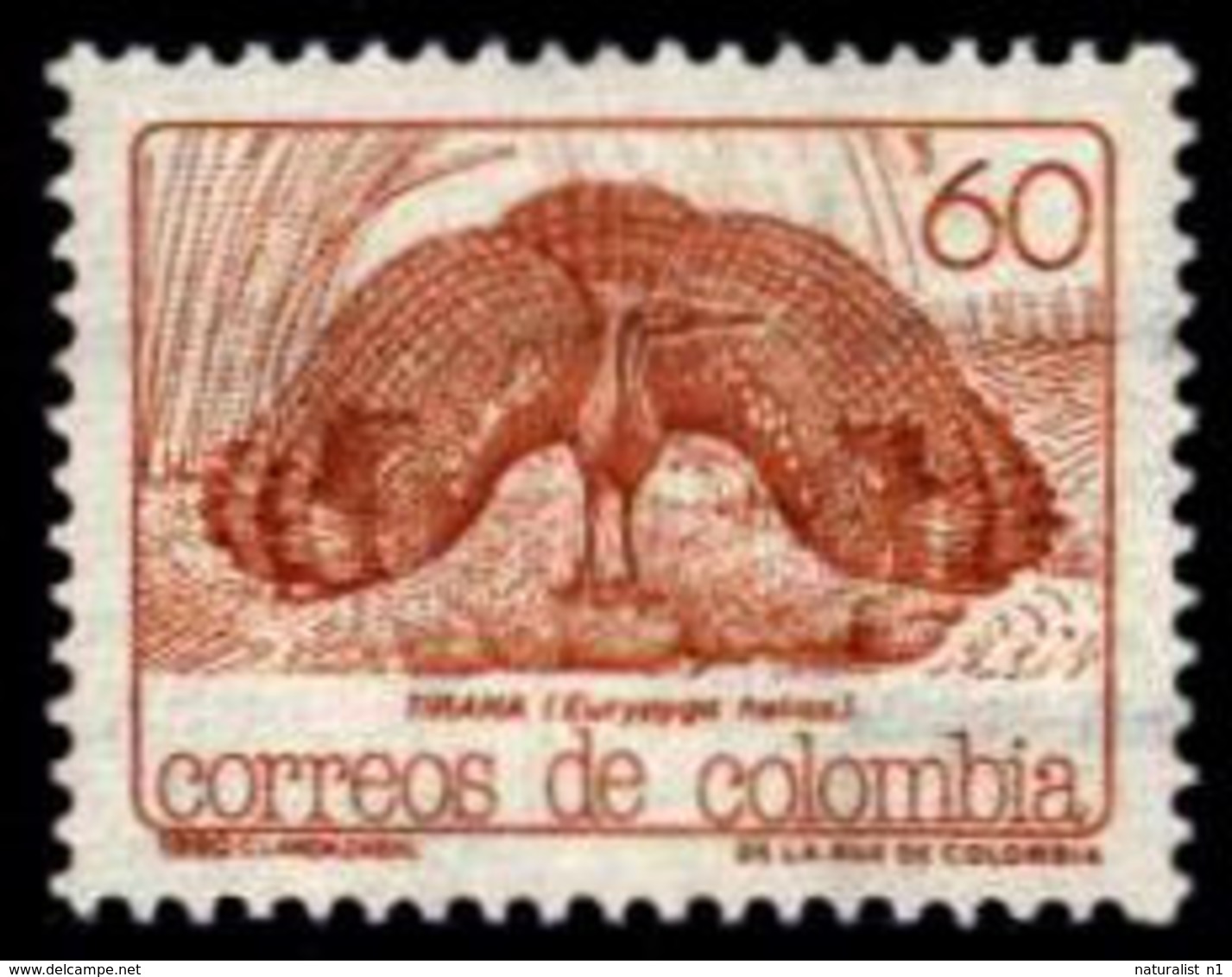 Colombia Kolumbien Colombie 1990 ** Sunbittern Sonnenralle Caurale Soleil - Sonstige & Ohne Zuordnung