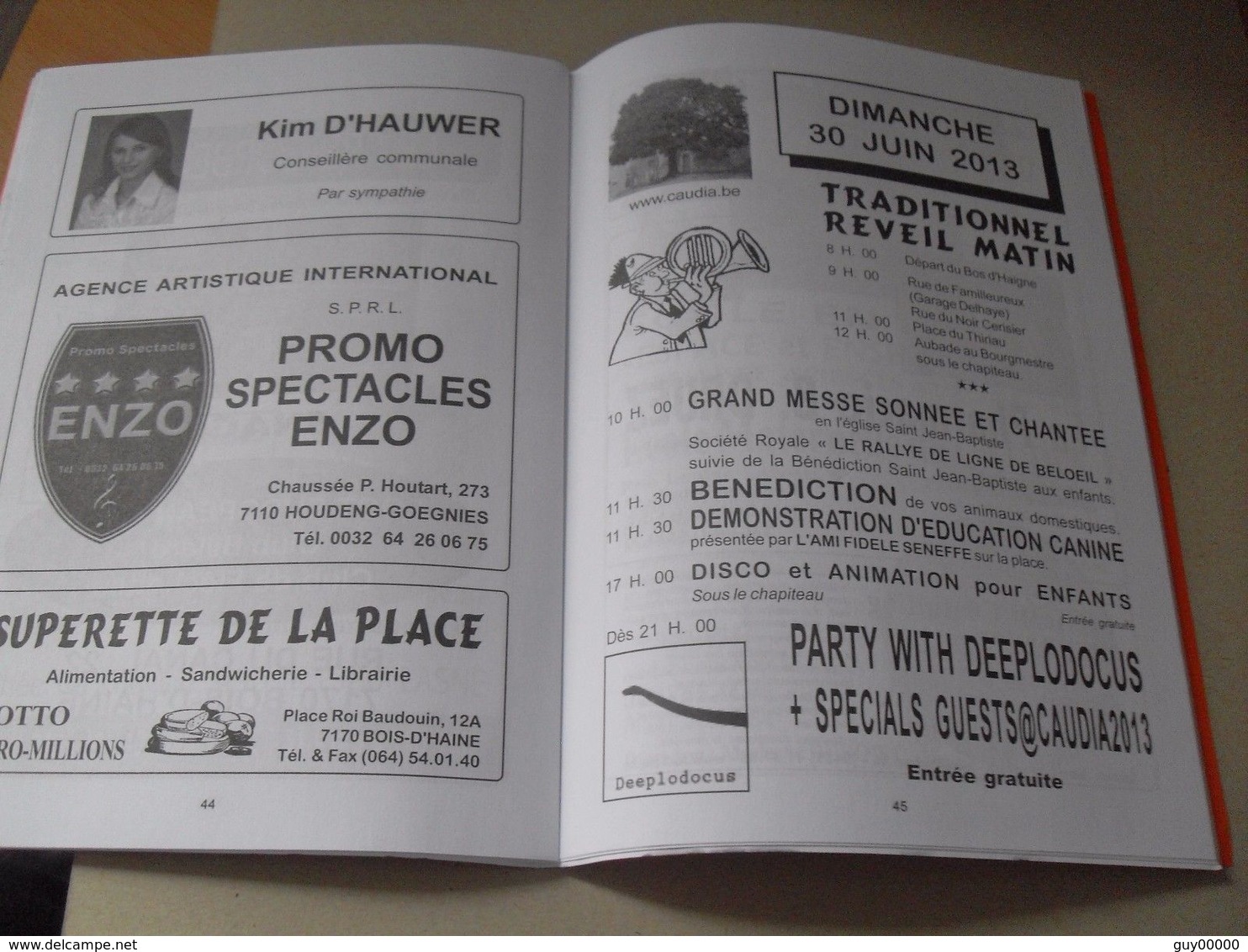 Bois-D'Haine - 2013 - Chaudeau - 74 Pages De Pub De La Région - Non Classés