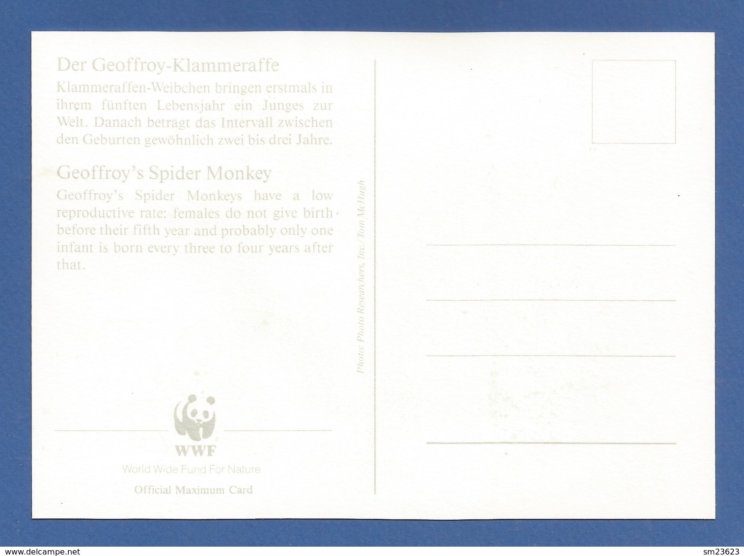 Republica De Honduras 1990 , Geoffroy`s Spider Monkey - WWF Official Maximum Card - First Day 18 April 1990 - Honduras