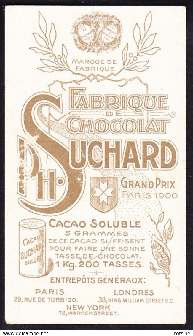CHROMO Chocolat SUCHARD  Fruits Et Enfants    Baies Rouges         Serie 106 - Suchard