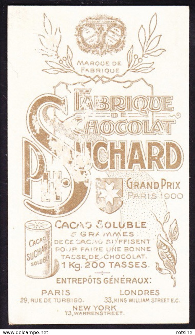 CHROMO Chocolat SUCHARD  Fruits Et Enfants    Framboises     Serie 106 - Suchard