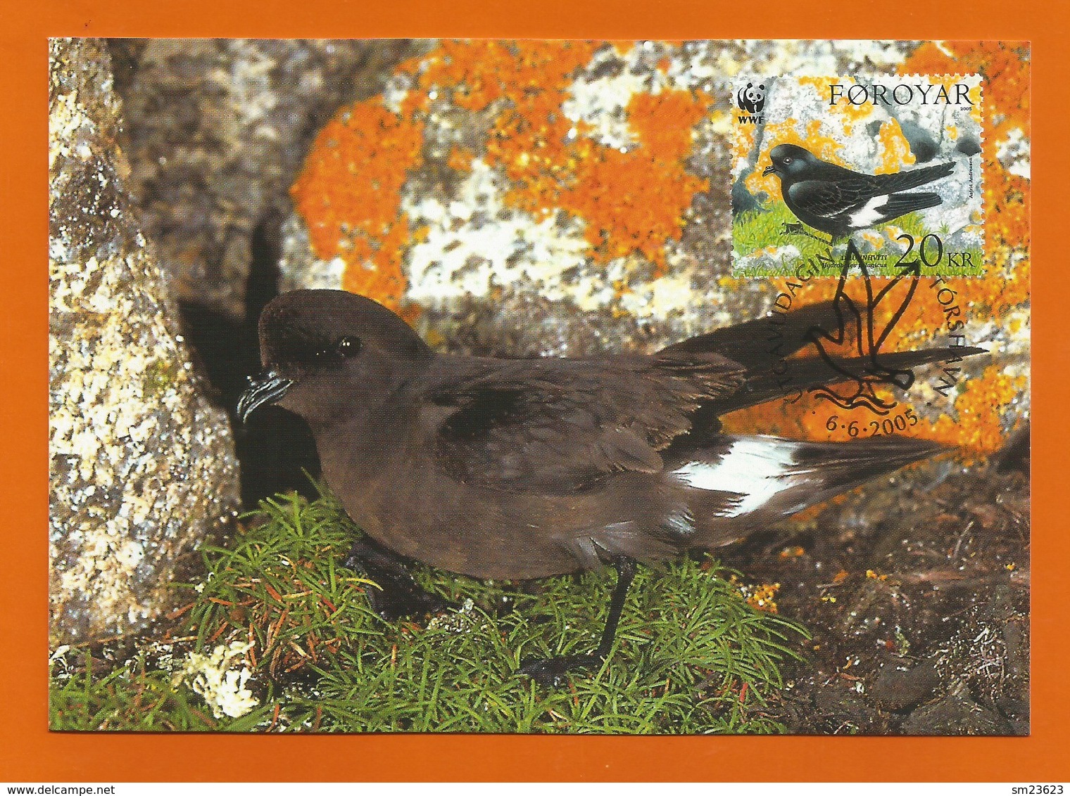 Färöer Inseln 2005 , Sturmschwalbe / Storm Petrel - WWF Official Maximum Card - Torshavn 6.6.2005 - Féroé (Iles)