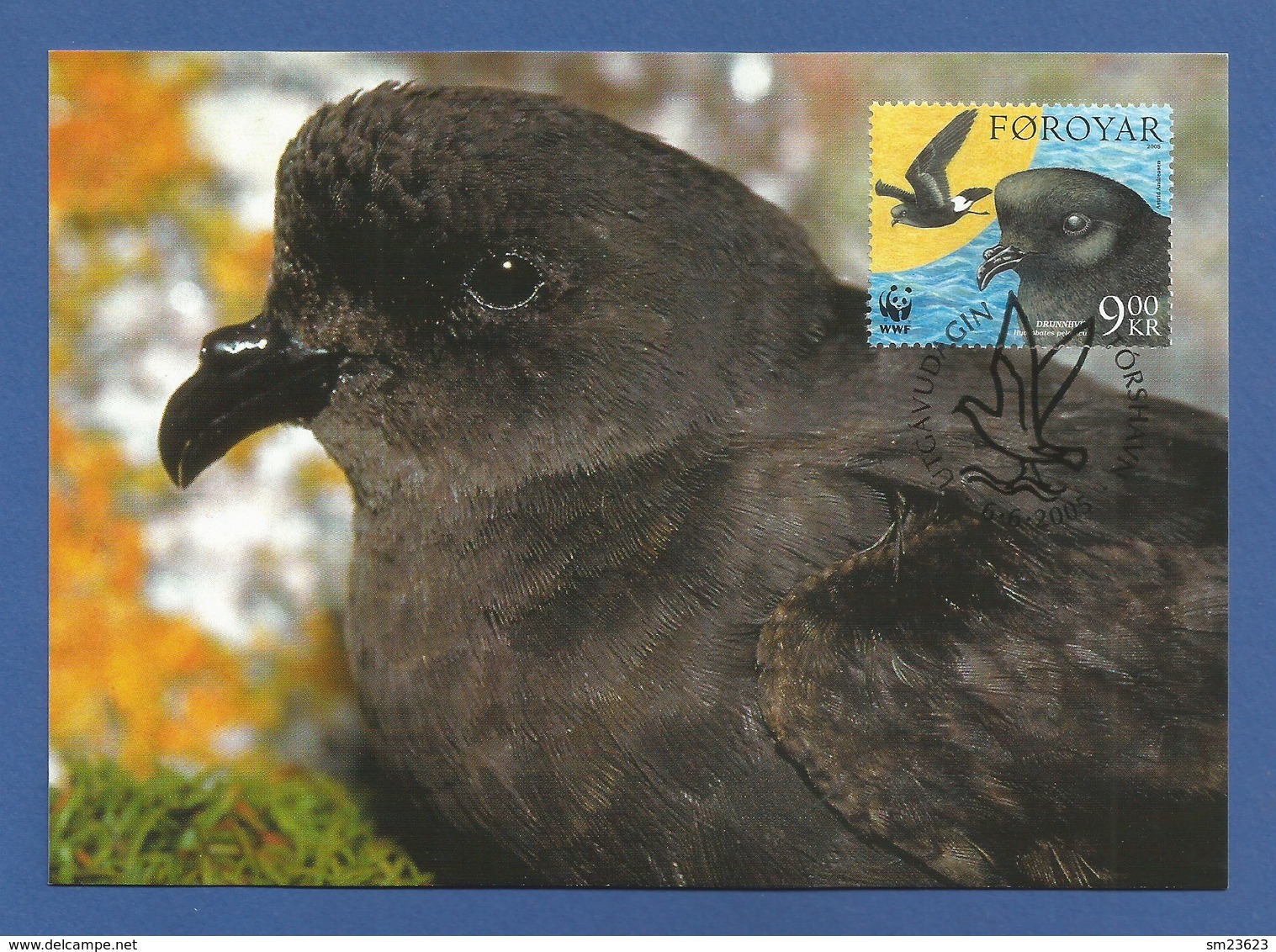 Färöer Inseln 2005 , Sturmschwalbe / Storm Petrel - WWF Official Maximum Card - Torshavn 6.6.2005 - Féroé (Iles)