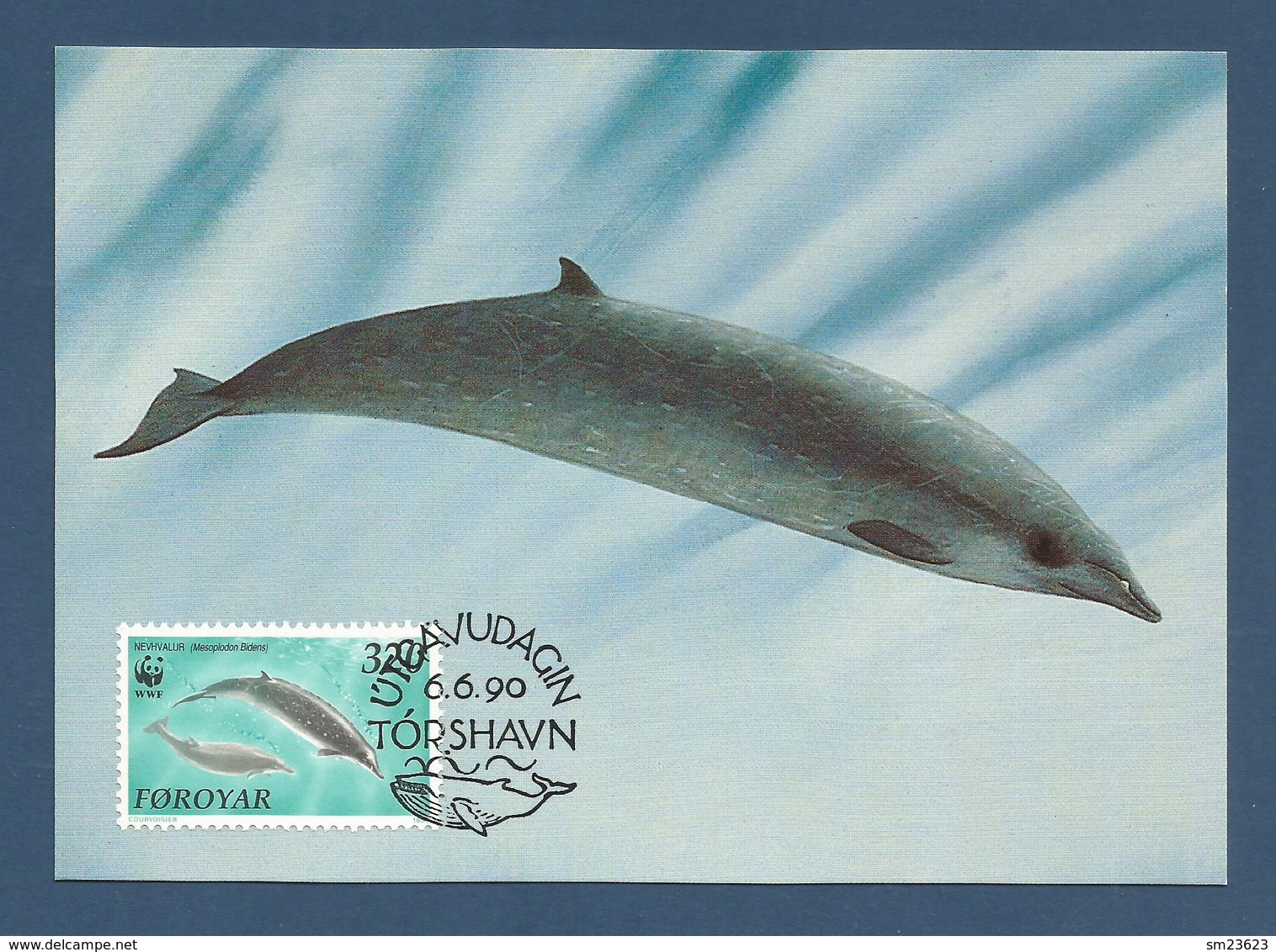 Färöer Inseln 1990  Mi.Nr. 203 , Zweizahnwal / Sowerby`s Beaked Whale - WWF Official Maximum Card - Torshavn 6.6.1990 - Faroe Islands