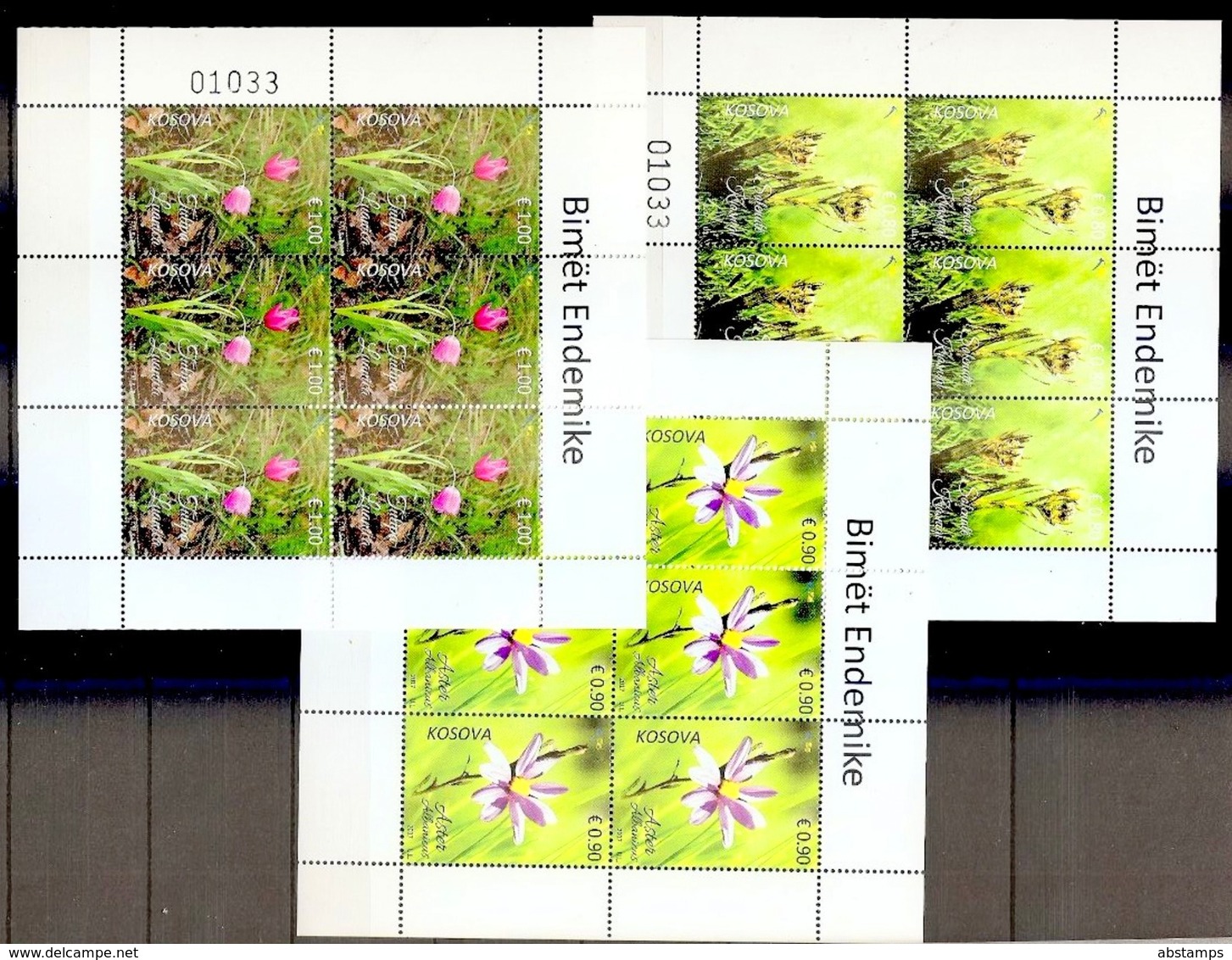 Kosovo 2017. Flora. Aster Albanicus, Tulipa Luanica, Solenantë Krasniqi. Sheet MNH - Kosovo