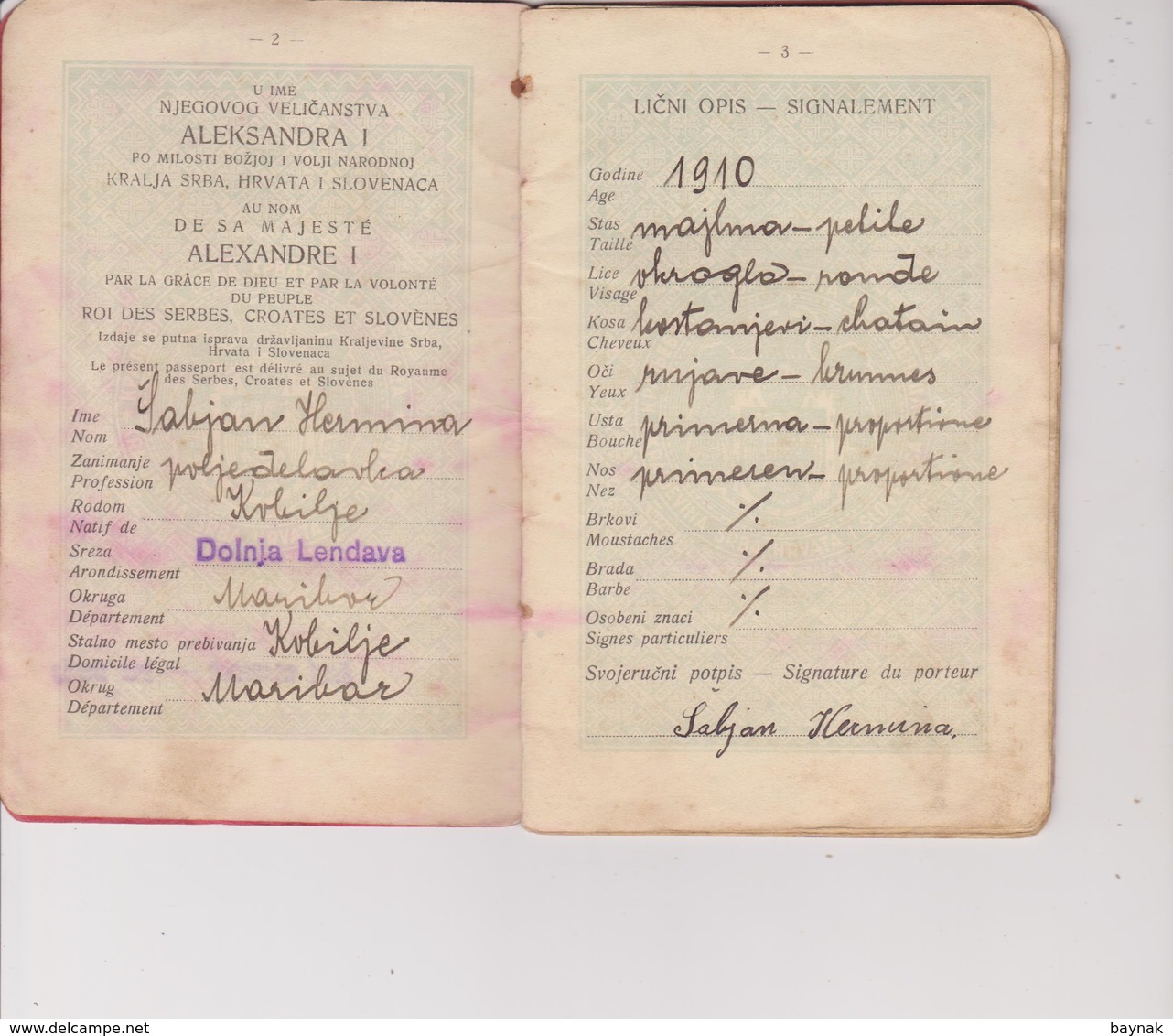 YU24 -  PASSPORT - KINGDOM OF SHS, DOLNJA LENDAVA, SLOVENIA  - 1928  - LADY PHOTO  - VISA AUSTRIA , HUNGARY - TAX STAMPS - Historische Dokumente