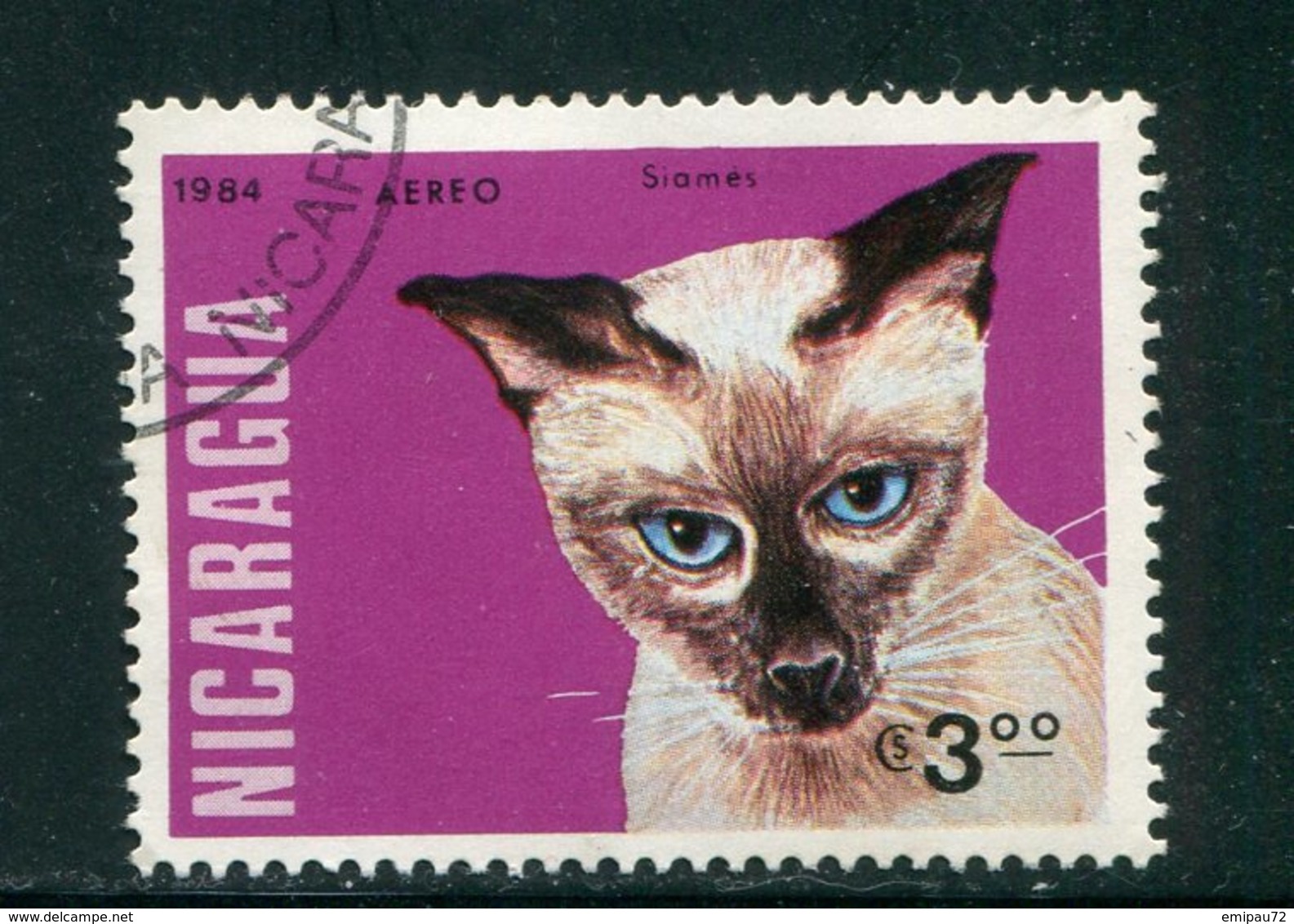 NICARAGUA- P.A Y&T N°1053- Oblitéré (chat) - Domestic Cats