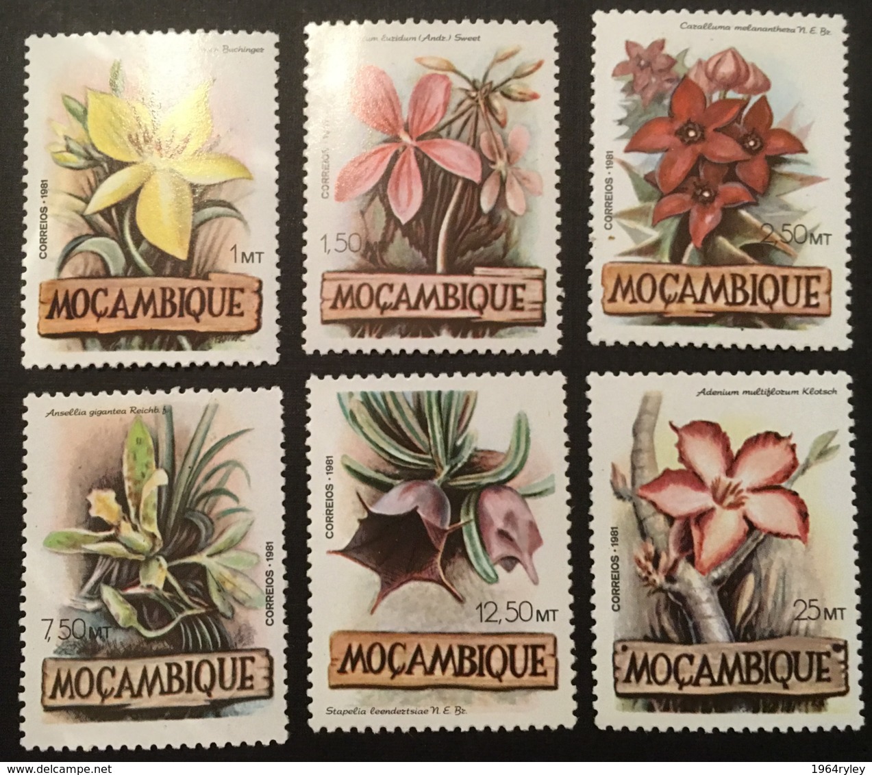 MOZAMBIQUE  - MNH** - 1981 - # 865/870 - Mozambique