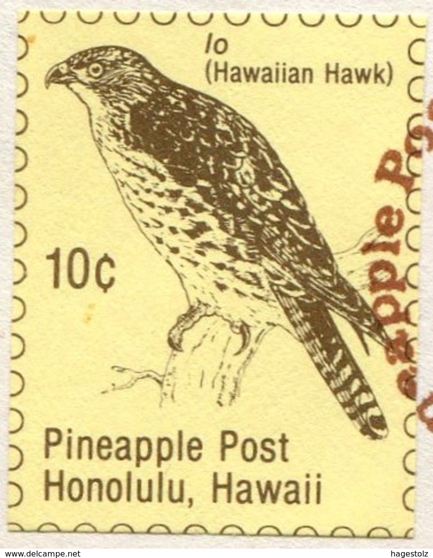 USA HAWAII 1981 Honolulu Pineapple Local Post FDC Cover Bird IO Hawaiian Hawk Falke Faucon Halcón - Eagles & Birds Of Prey