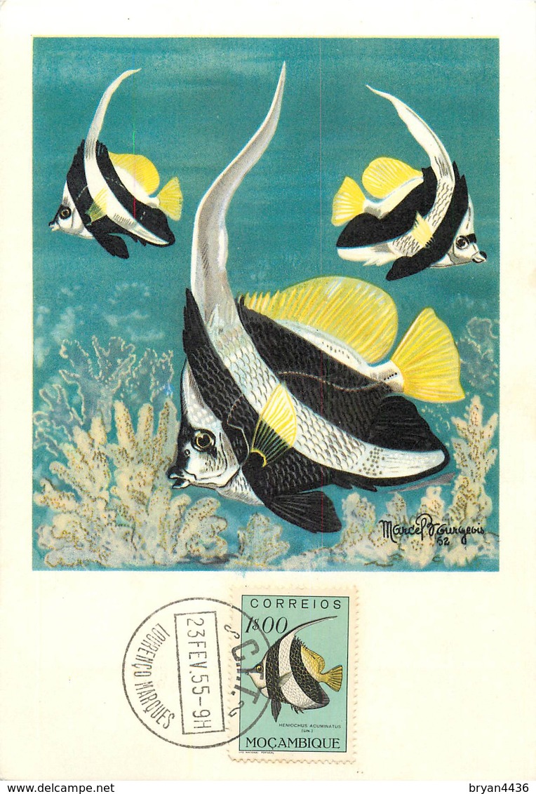 MOZAMBIQUE - MARCOPHILIE - CARTE MAXIMUM - POISSONS DE MOZAMBIQUE - TIMBRE 1,00 E. N° 394 - TRES BEL ETAT - Mozambique