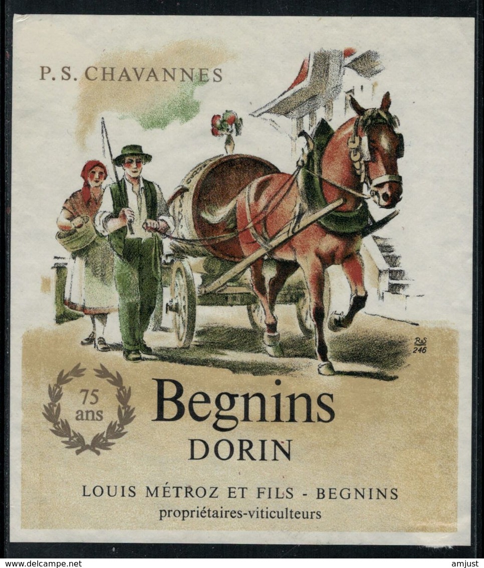 Rare // Etiquette De Vin // Chevaux //  Begnins, P.S. Chavannes - Pferde