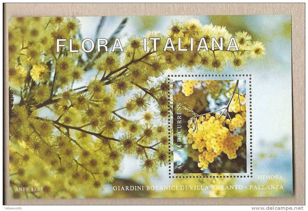 Foglietto Erinnofilo Nuovo: Giardini Di Villa Taranto - Mimosa - In Folder Protettivo - Altri & Non Classificati