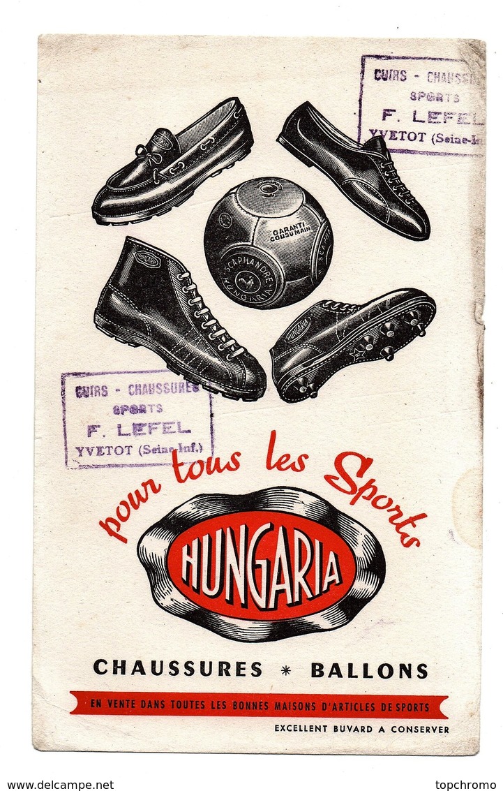 Buvard Hungaria Chaussures Ballons Lefel Yvetot - Sports