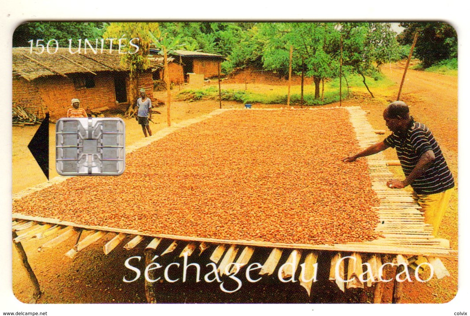 CAMEROUN REF MV CARDS CAM-38 150 U SECHAGE DU CACAO Verso INTELCAM - Cameroun