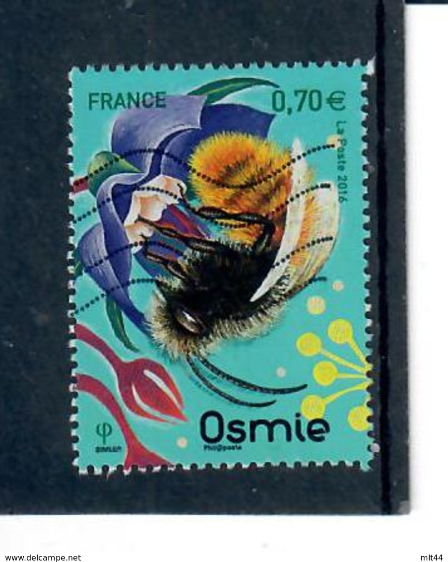 Yt 5052 Abeille-osmie - Oblitérés