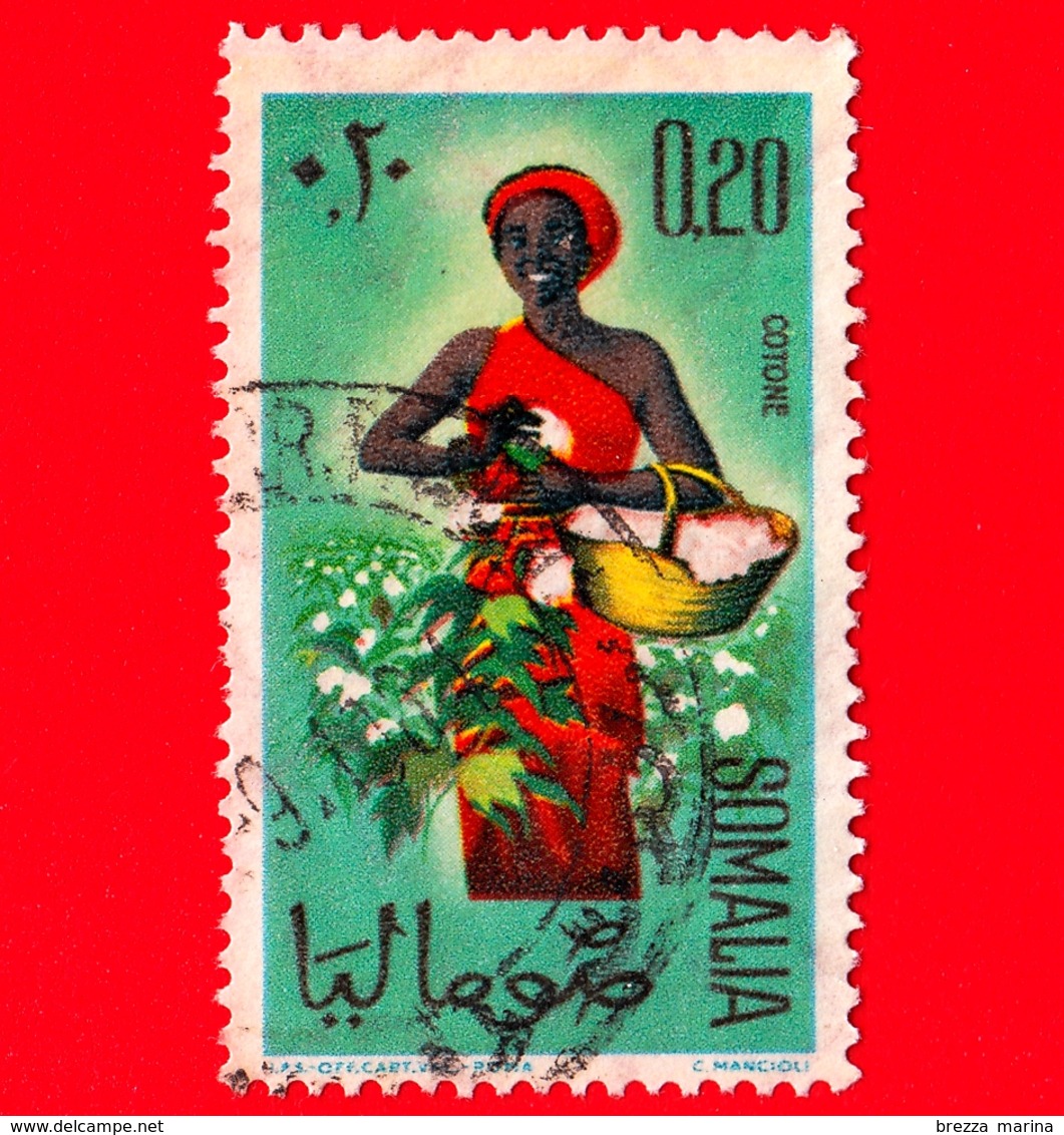 SOMALIA - Usato - 1961 - Ragazze Per La Raccolta - Semi - Cotone - 0.20 - Somalië (1960-...)