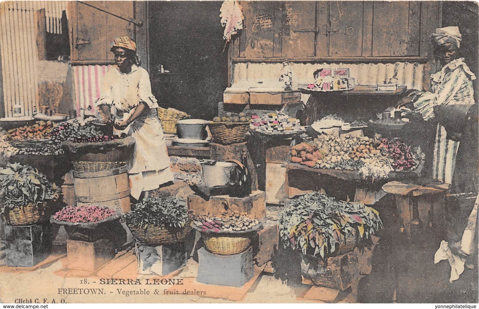 Sierra Leone - Ethnic / 12 - Freetown - Vegetable And Fruit Dealers - Sierra Leone