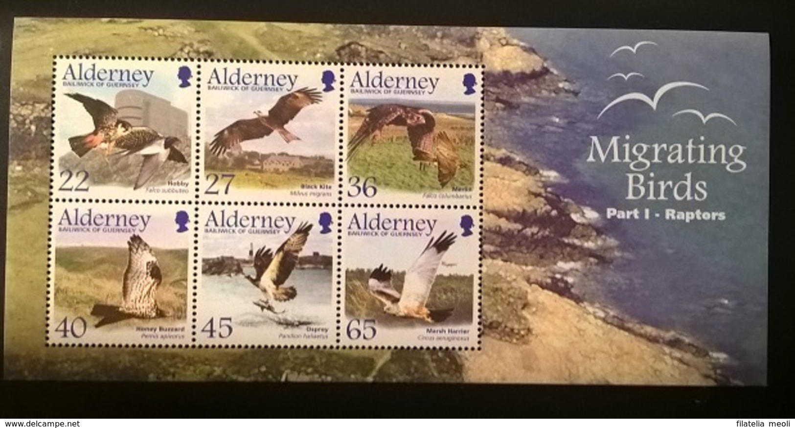 ALDERNEY MIGRATING BIRDS - Alderney