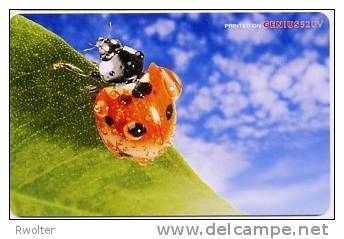 @+ Carte Démonstration : Coccinelle - Coccinelle