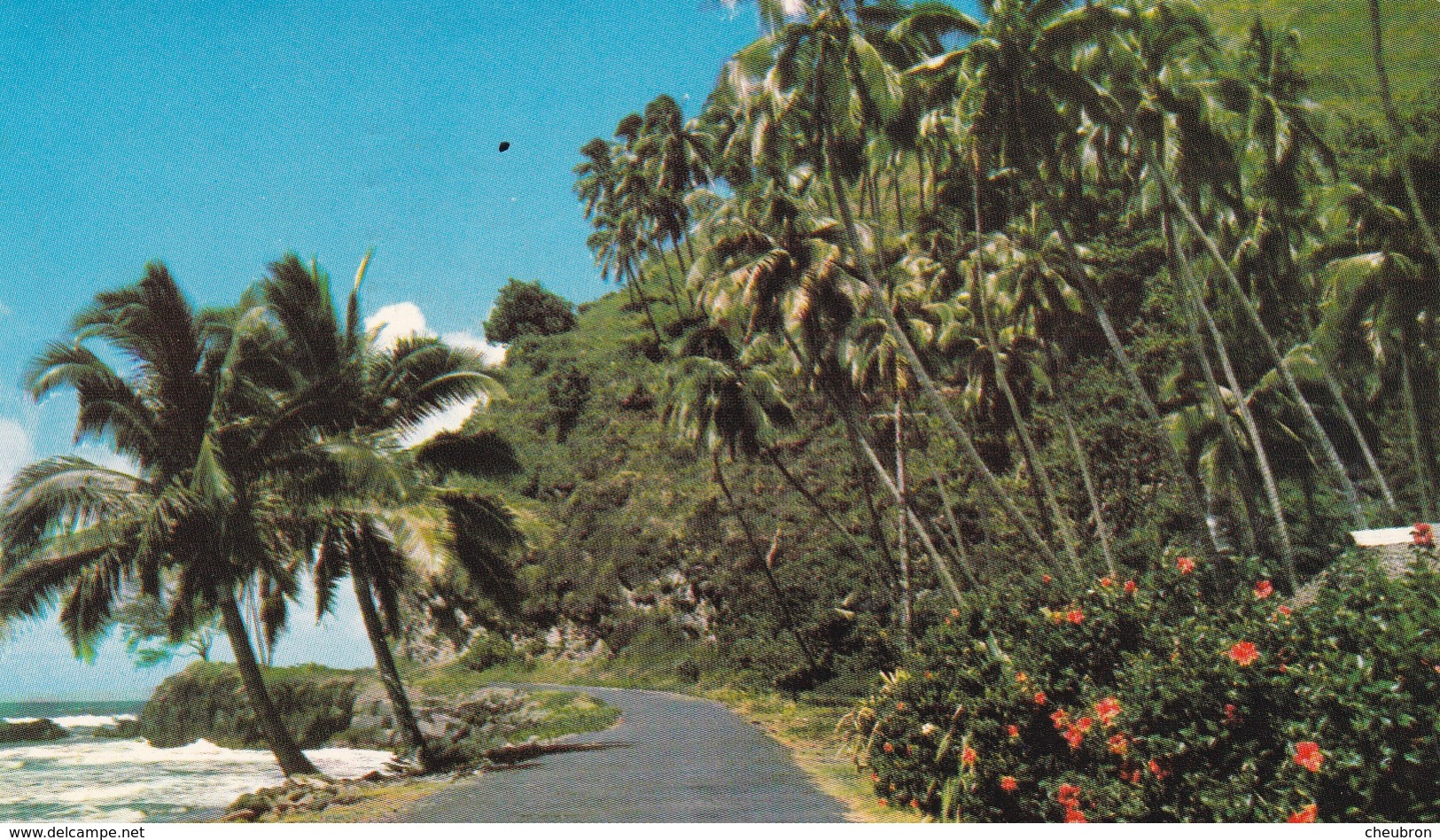 OCEANIE. TAHITI. MACHINE. EAST COAST ROAD. PHOTO SOUNAM. ANNEE 1971. - Tahiti