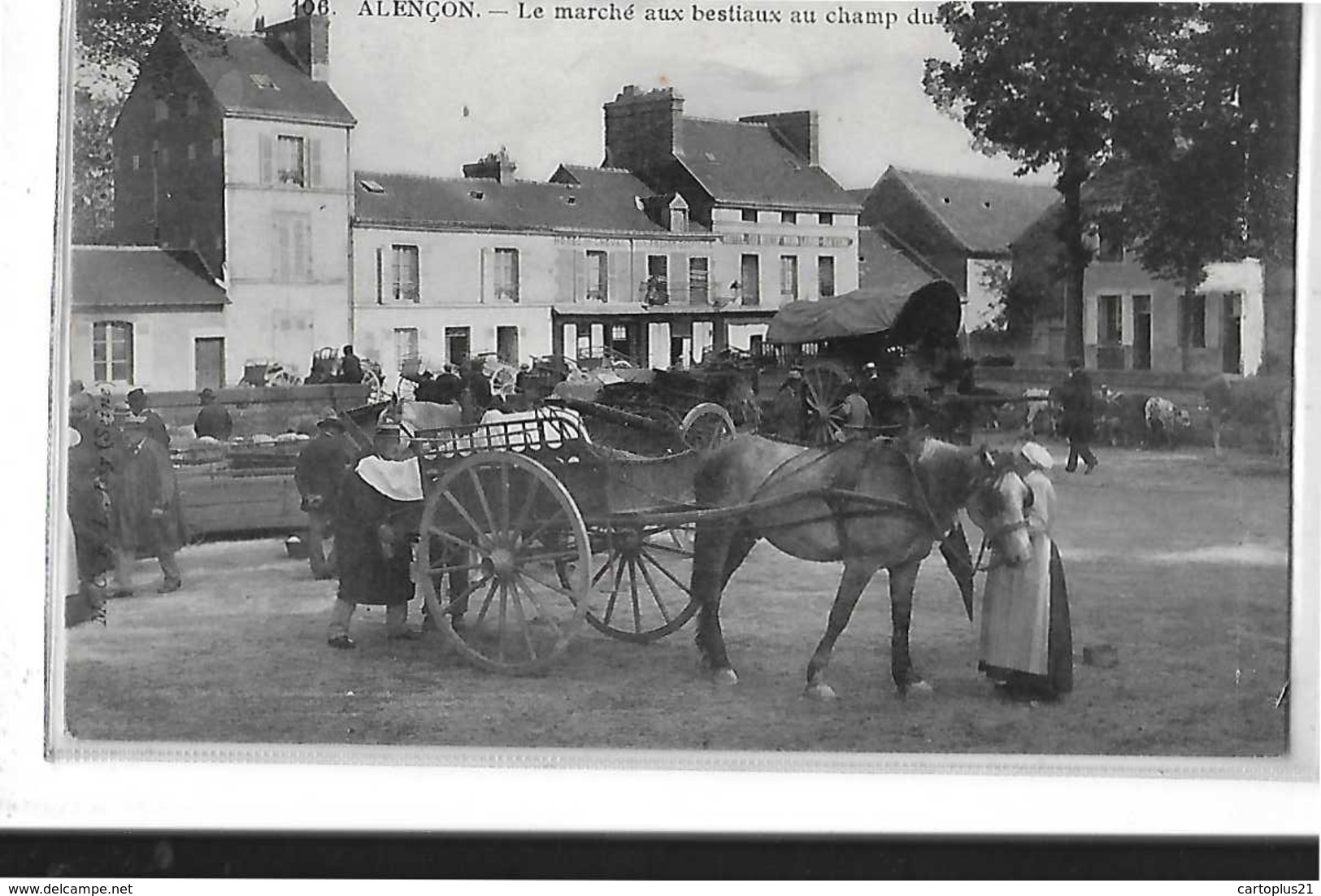 ALENCON  LE MARCHE AUX BESTIAUX AU CHAMP  HOTEL BOEUF NOIR  1 PLAN ATTELAGE CHEVAL GROS PLAN FEMME  DEPT 61 - Alencon