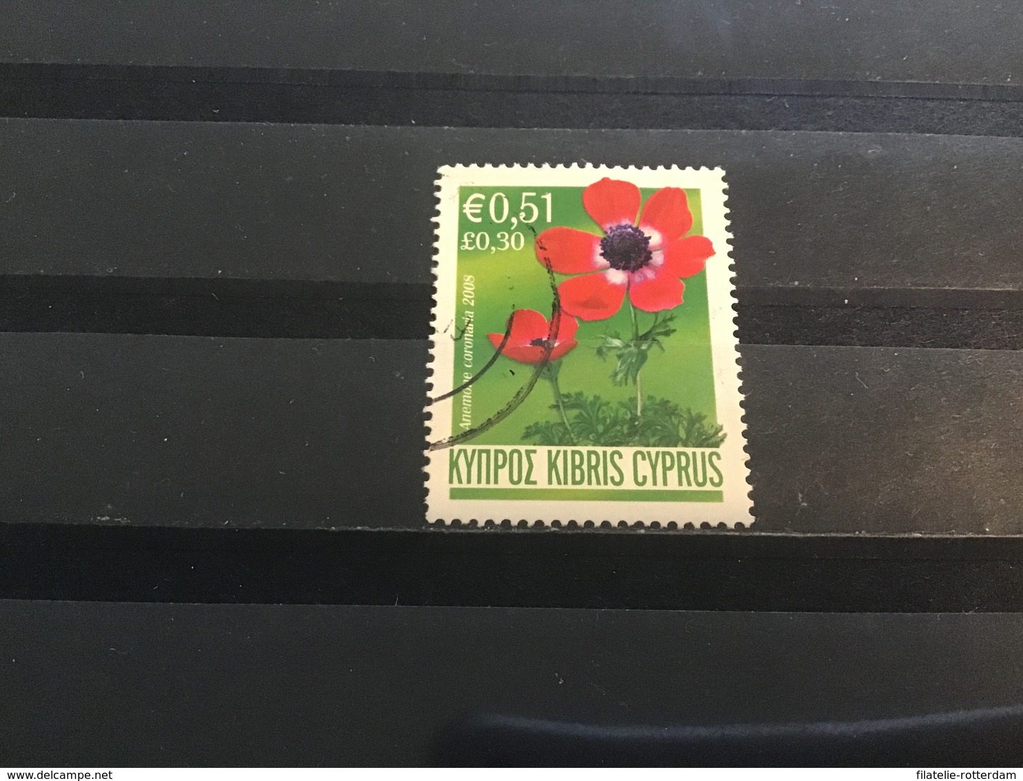 Cyprus - Anemonen (0.51) 2008 - Gebruikt