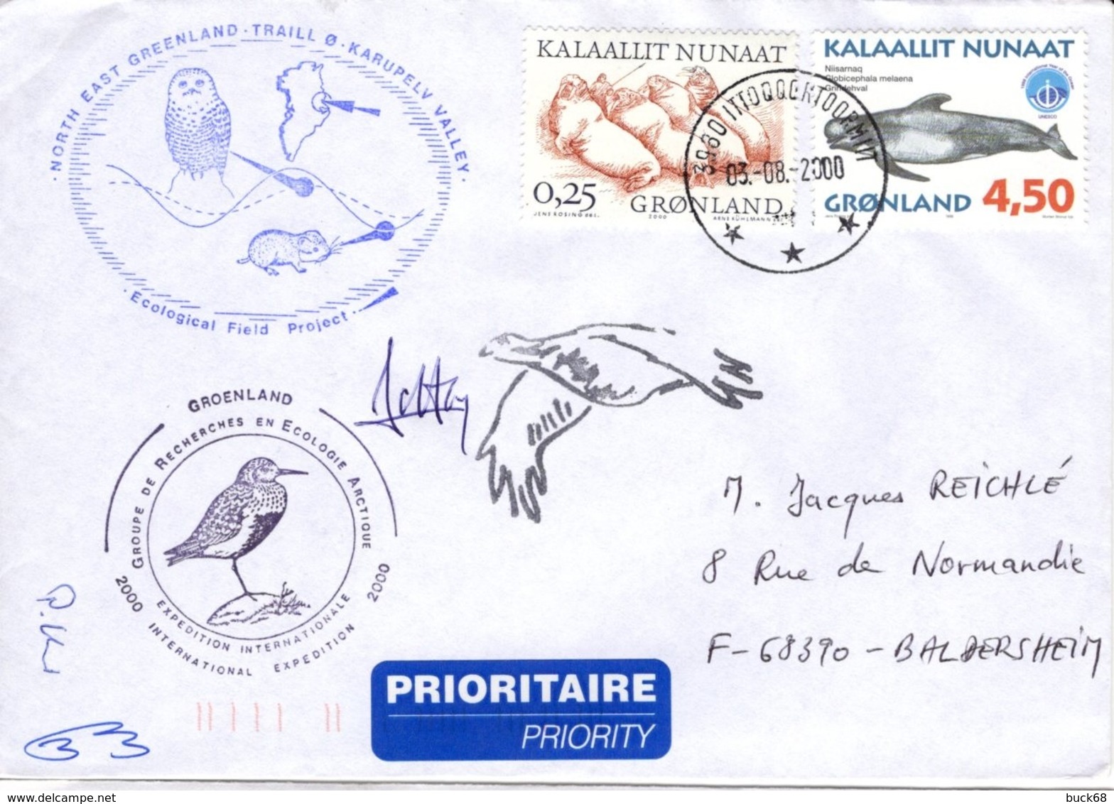 GROENLAND GRØNLAND 298 326 Lettre Signée GREA Ecological Field Expédition Karupelv Valley 2000 Hibou Owl Eule Polar Pôle - Postmarks