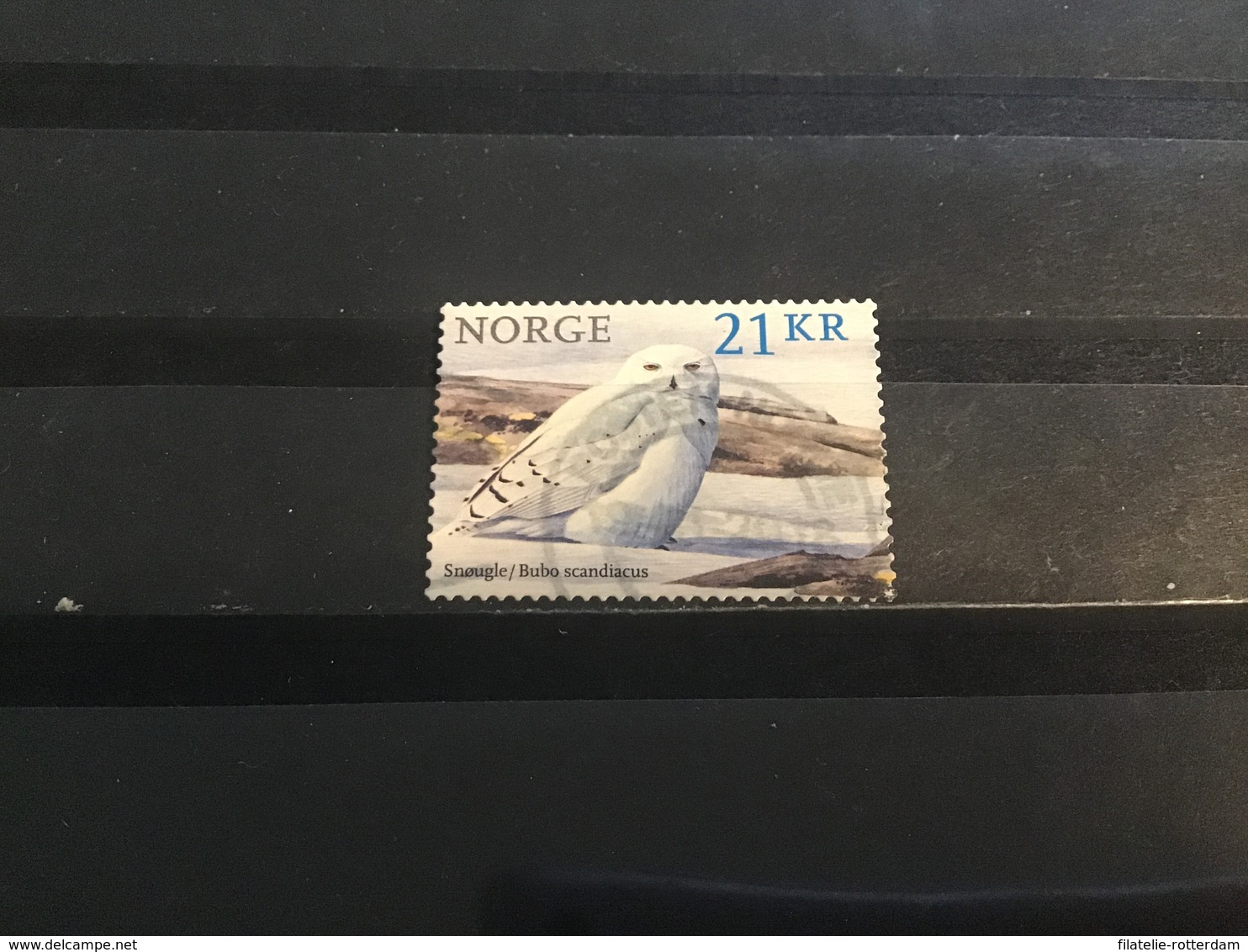 Noorwegen / Norway - Fauna, Sneeuwuil (21) 2018 - Used Stamps