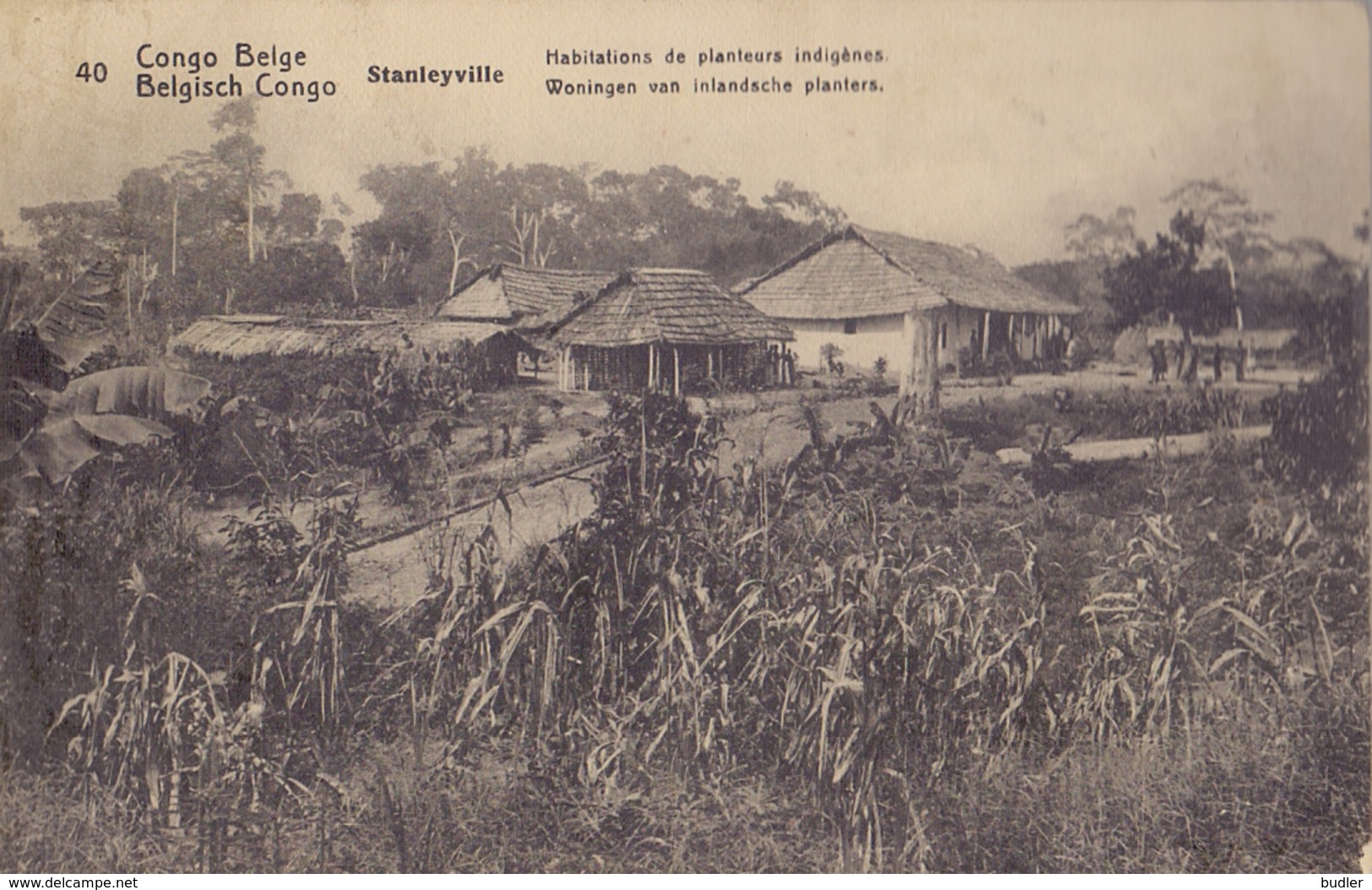 BELG. CONGO :1912: PWS/E.P./P.St.-ILLUSTR.** Nr.40 – 5 C. : HABITATIONS,HOUSES,TREES,PLANTS, - Interi Postali